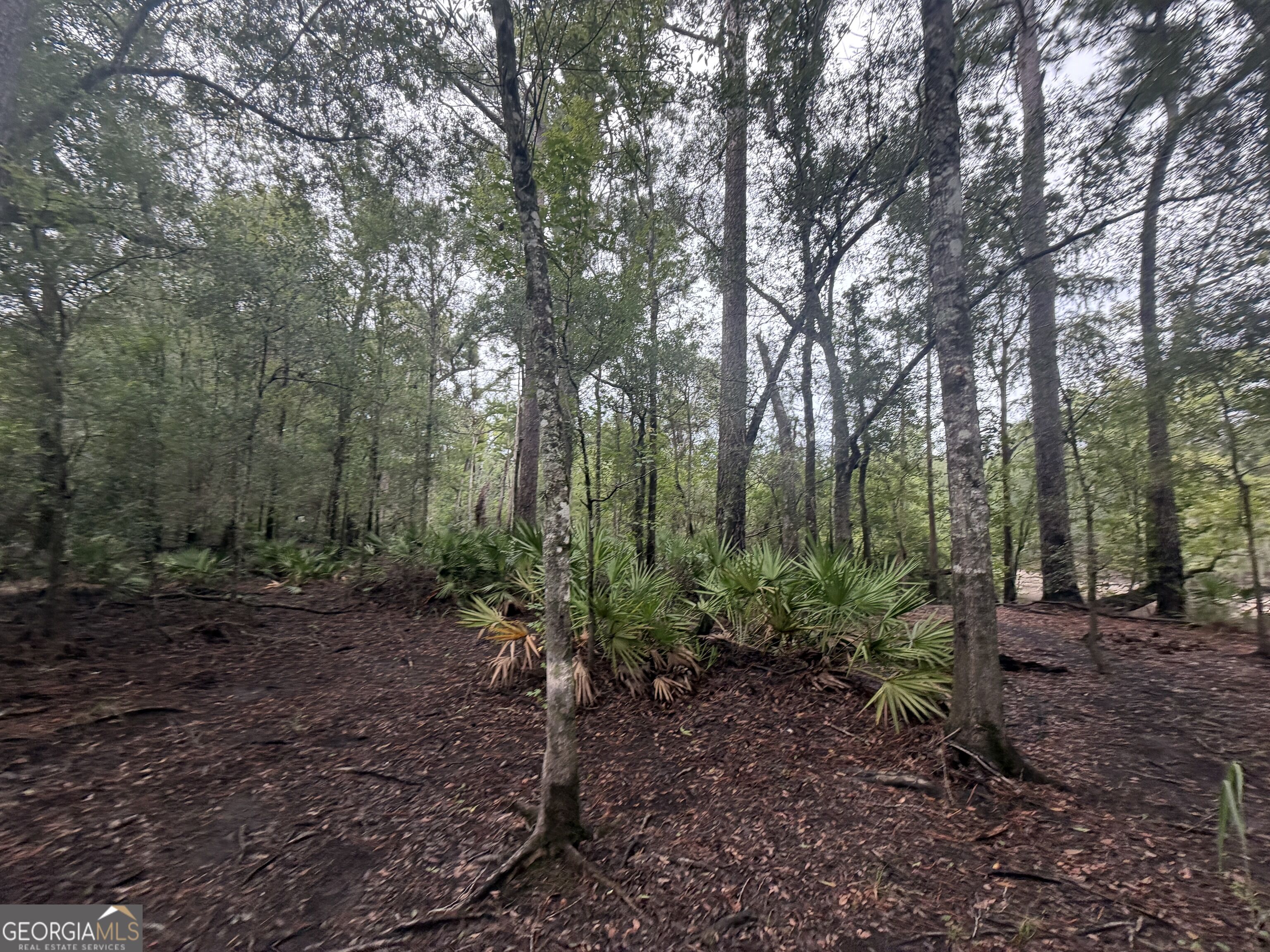 0 Jamestown Road Waycross, GA 31503 - Photo 23 of 92 Gallery Image 23