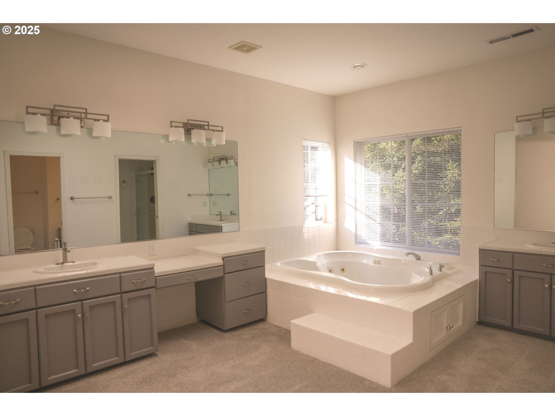 5812 Northeast Livingston Road Camas, WA 98607 - Photo 17 of 27 a bathroom with a tub a sink and mirror