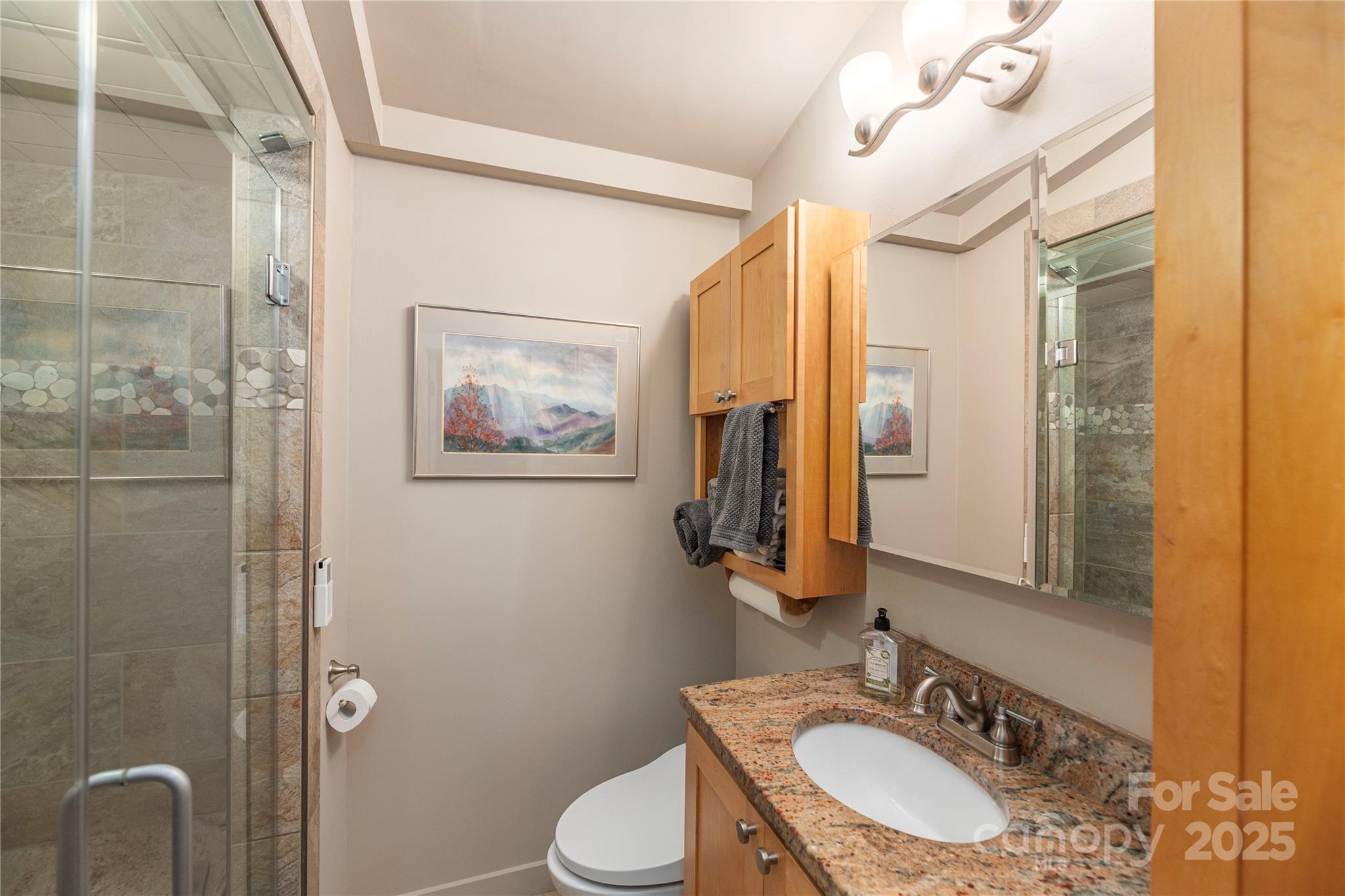 106 Spooks Branch Road Asheville, NC 28804 - Photo 17 of 28 a bathroom with a sink a toilet a mirror and shower