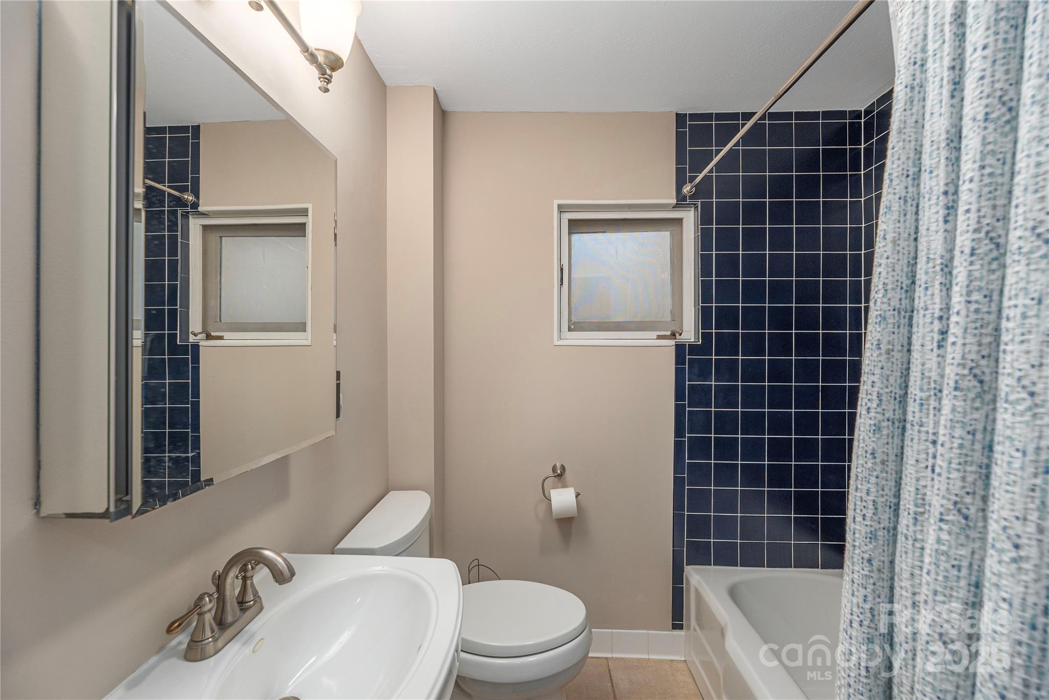 106 Spooks Branch Road Asheville, NC 28804 - Photo 21 of 28 a bathroom with a sink toilet and shower