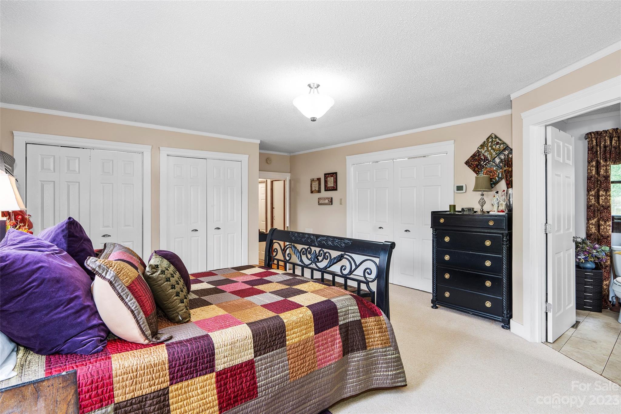 290 Last Mohican Trail Clyde, NC 28721 - Photo 23 of 46 a bedroom with a bed and a closet