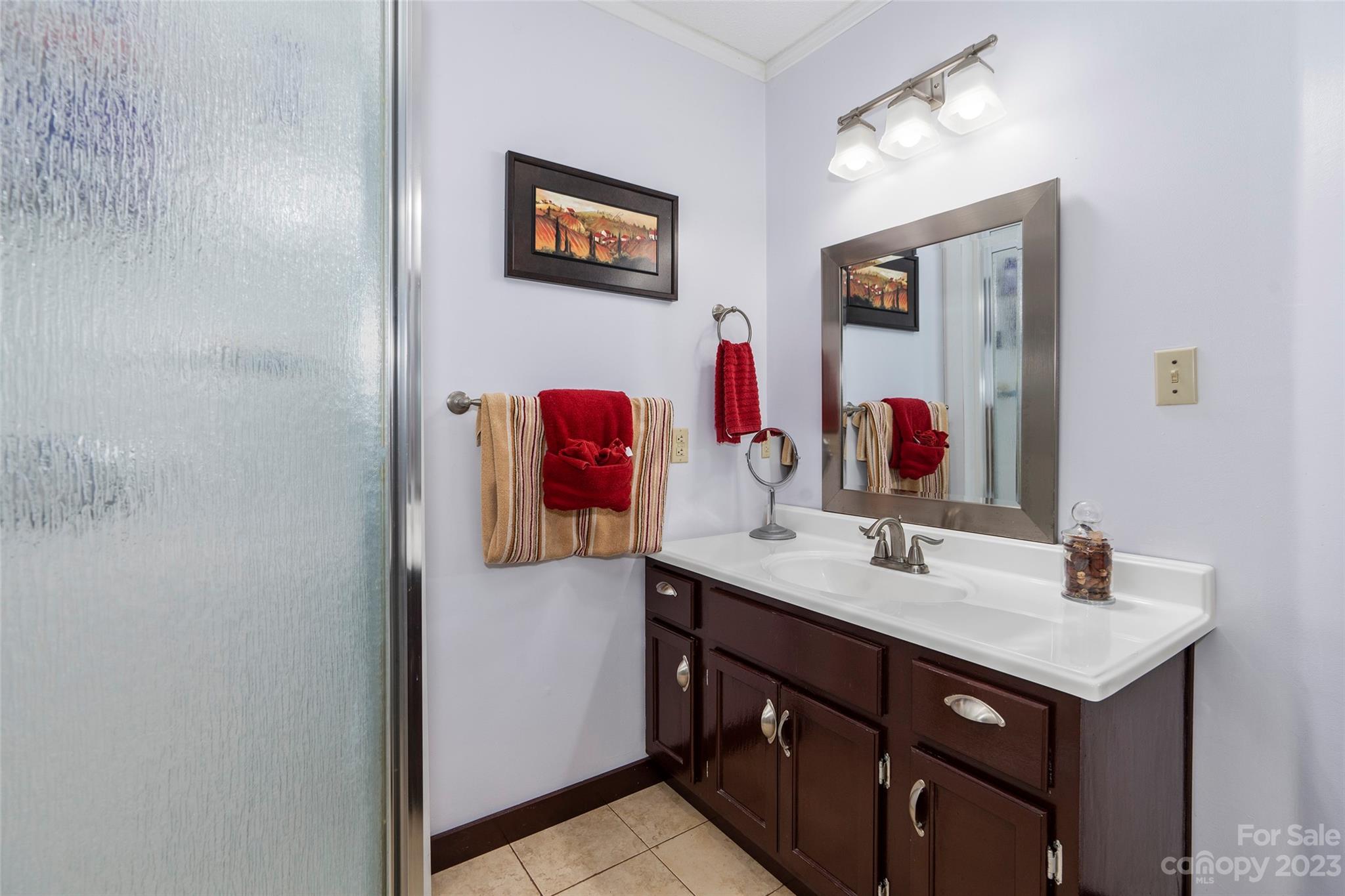 290 Last Mohican Trail Clyde, NC 28721 - Photo 24 of 46 a bathroom with a sink and a mirror
