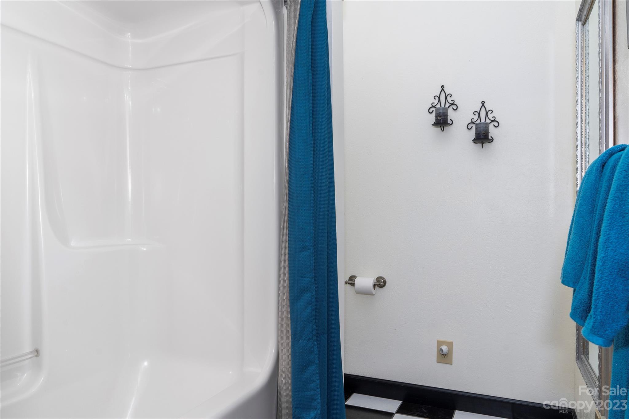 290 Last Mohican Trail Clyde, NC 28721 - Photo 35 of 46 a bathroom with a bathtub