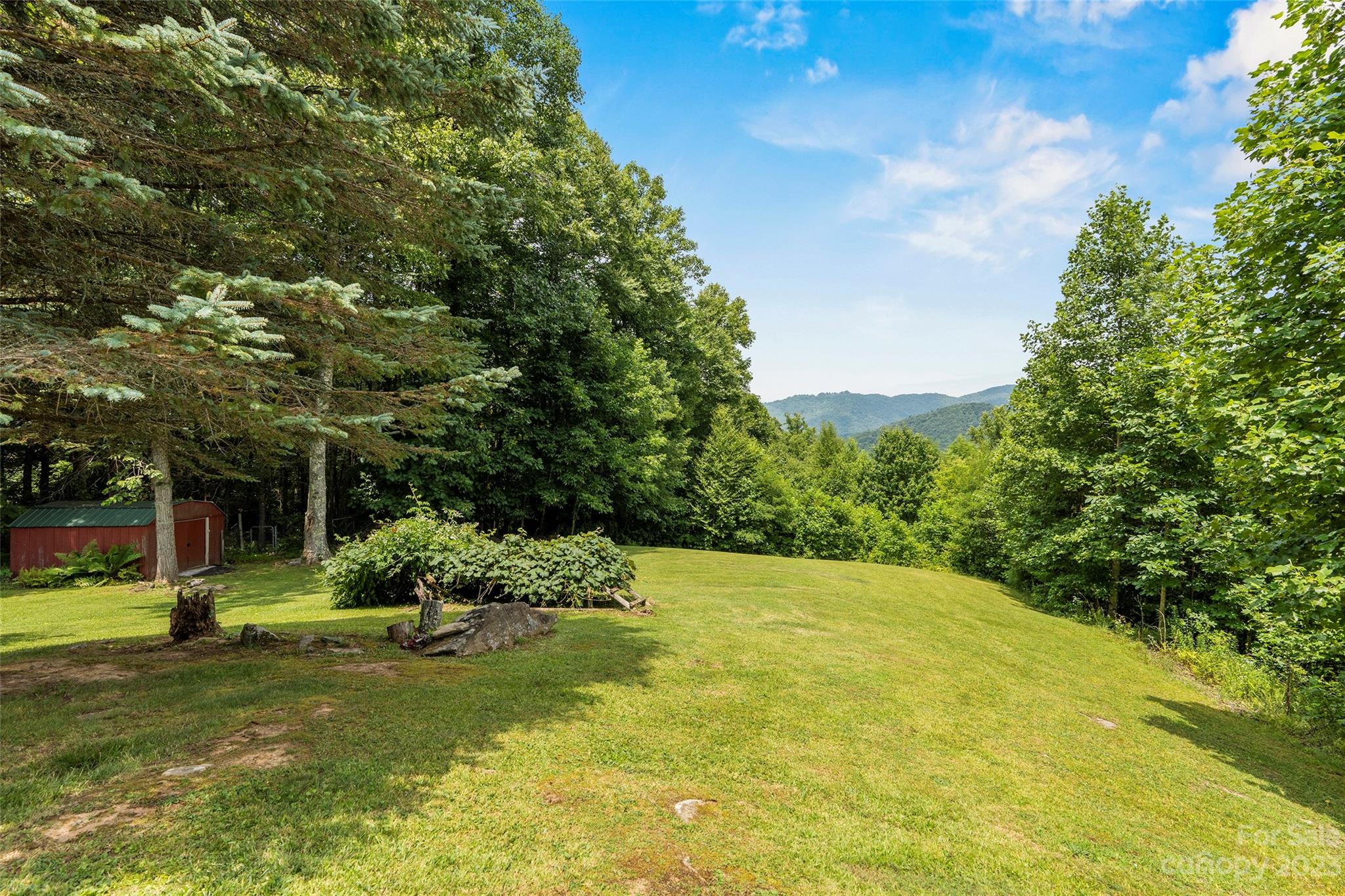 290 Last Mohican Trail Clyde, NC 28721 - Photo 38 of 46 a view of a big yard with plants and large trees