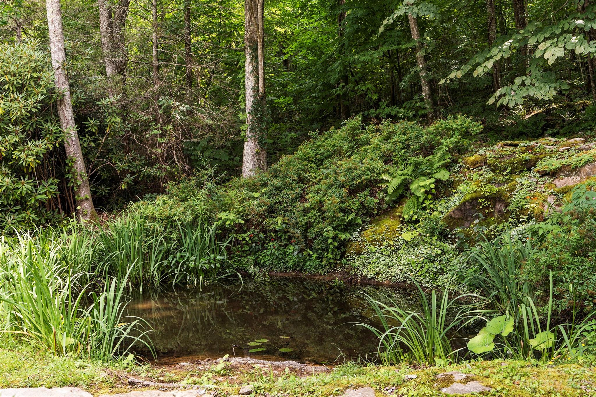 290 Last Mohican Trail Clyde, NC 28721 - Photo 40 of 46 a view of a garden