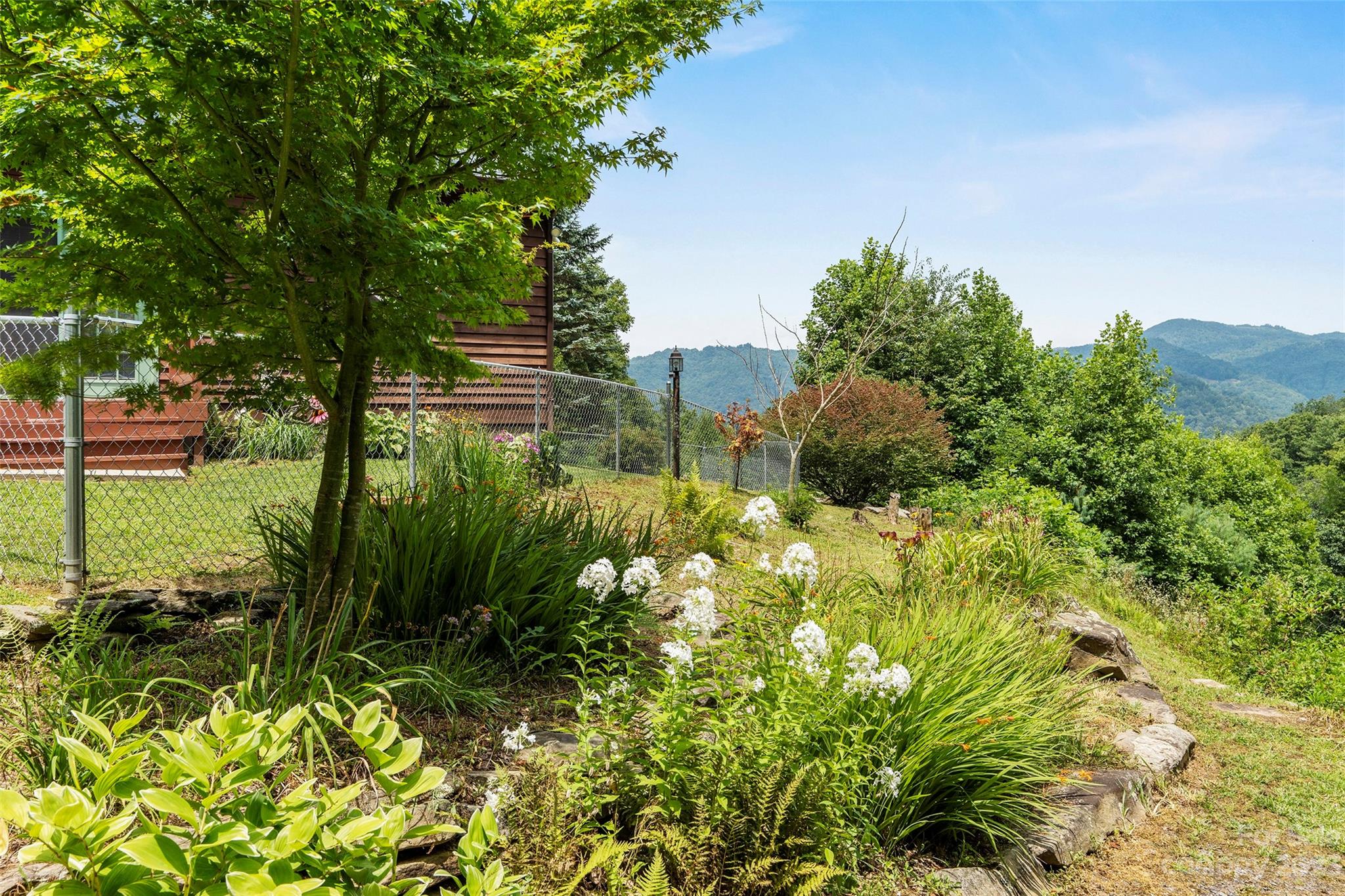 290 Last Mohican Trail Clyde, NC 28721 - Photo 5 of 46 a backyard of a house with lots of green space and garden