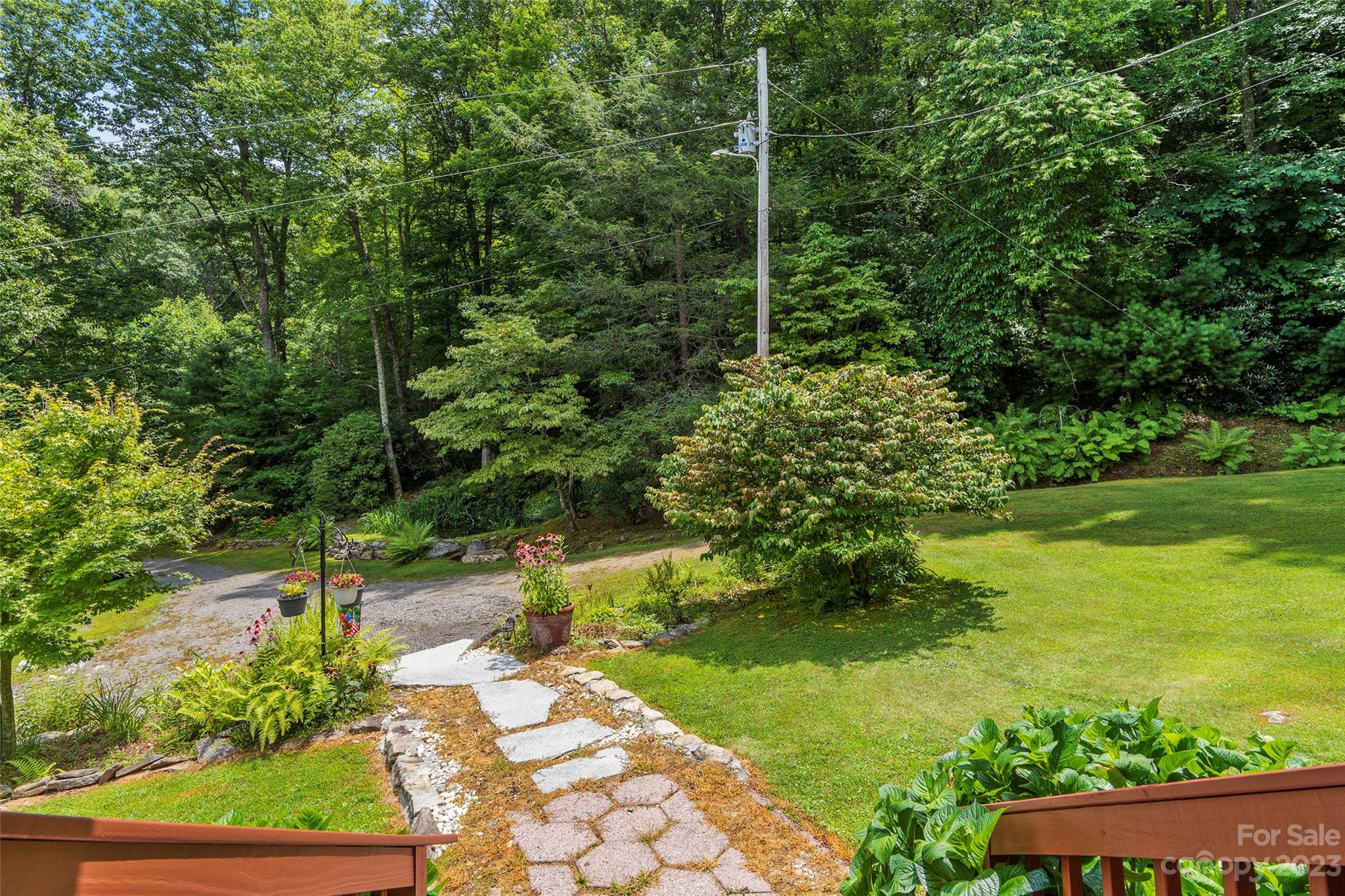 290 Last Mohican Trail Clyde, NC 28721 - Photo 6 of 46 a view of a garden with a tree