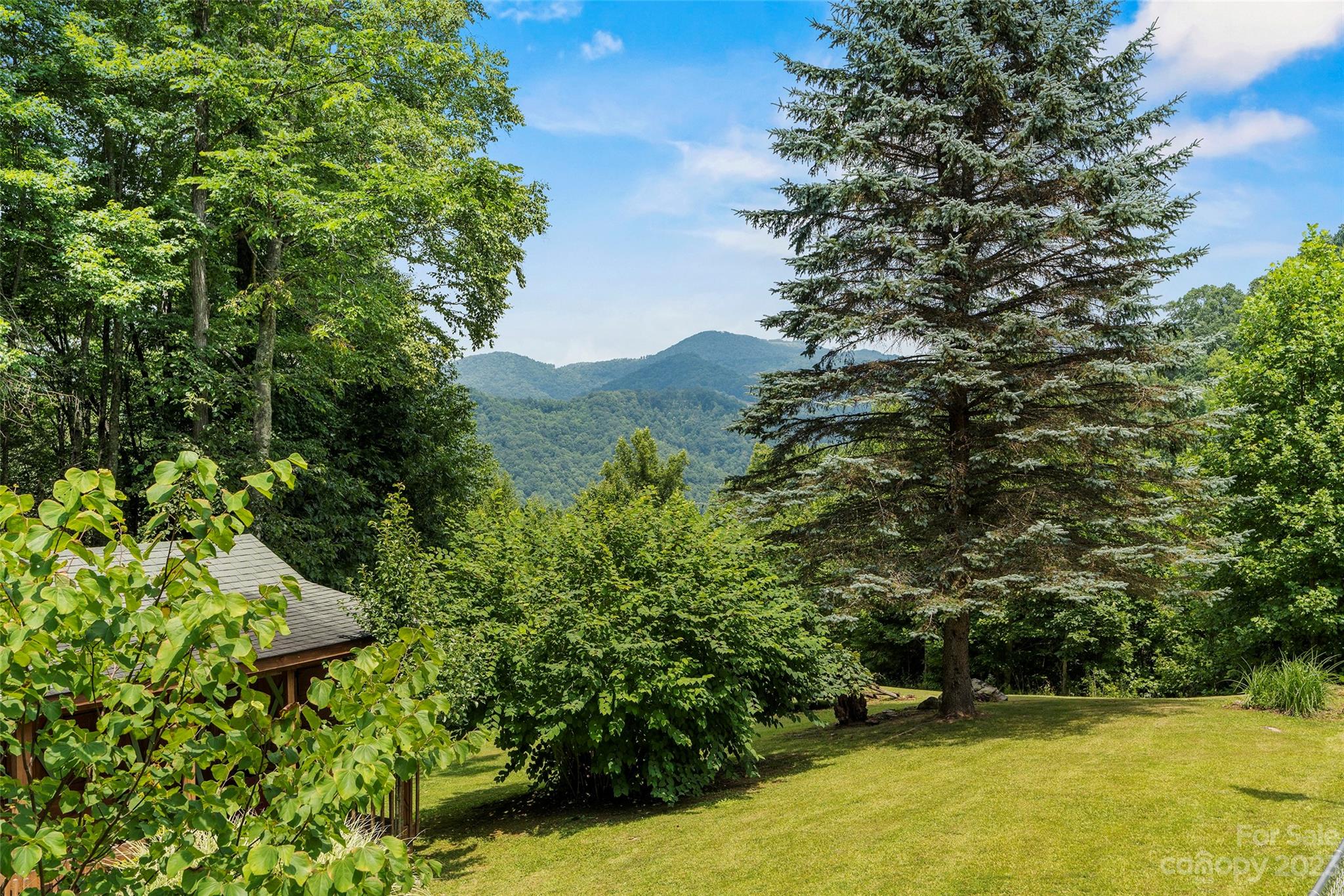 290 Last Mohican Trail Clyde, NC 28721 - Photo 10 of 46 an aerial view of a residential houses with yard and mountain view in back