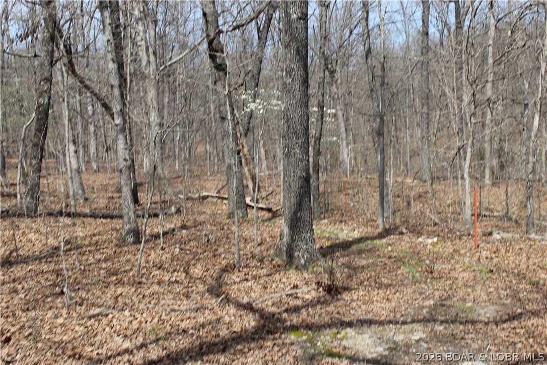 6055 McCasland Road Versailles, MO 65084 - Photo 79 of 99