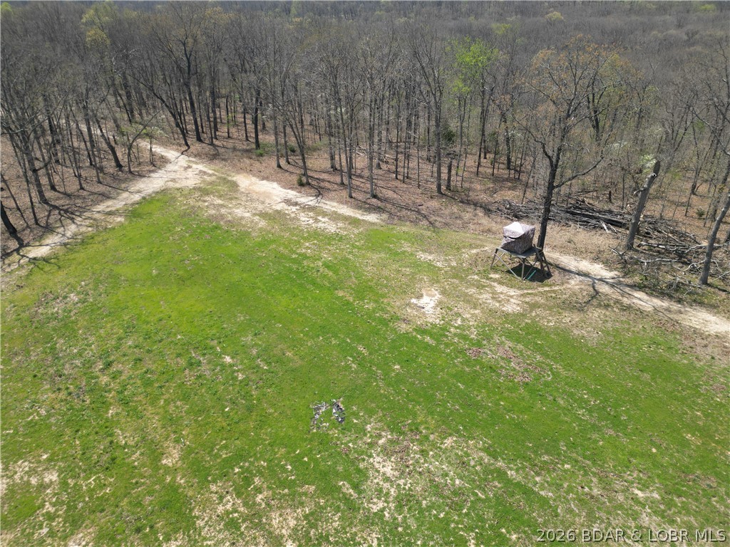 6055 McCasland Road Versailles, MO 65084 - Photo 86 of 99 hunting blind on food plot