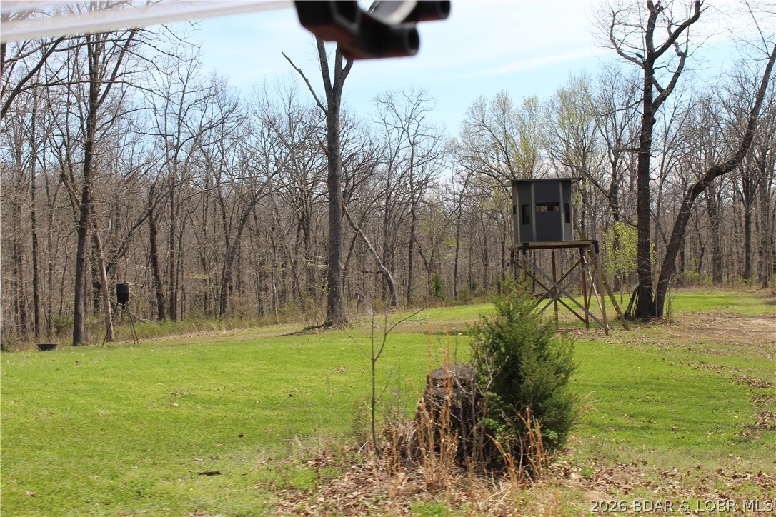 6055 McCasland Road Versailles, MO 65084 - Photo 91 of 99 forage has a great start this spring for trophy wh