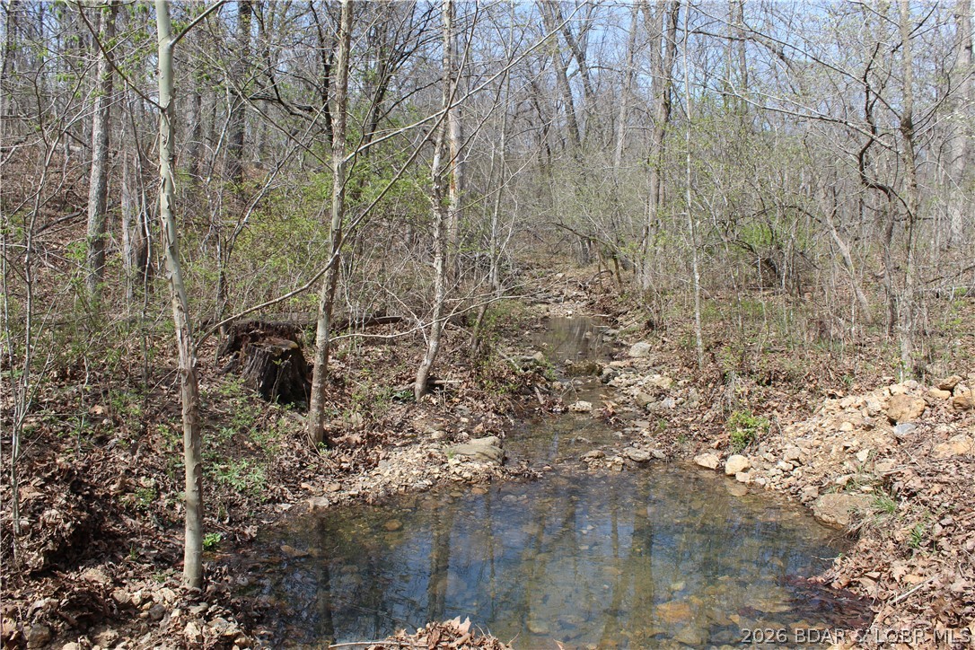 6055 McCasland Road Versailles, MO 65084 - Photo 94 of 99 many small water pools to attract wildlife