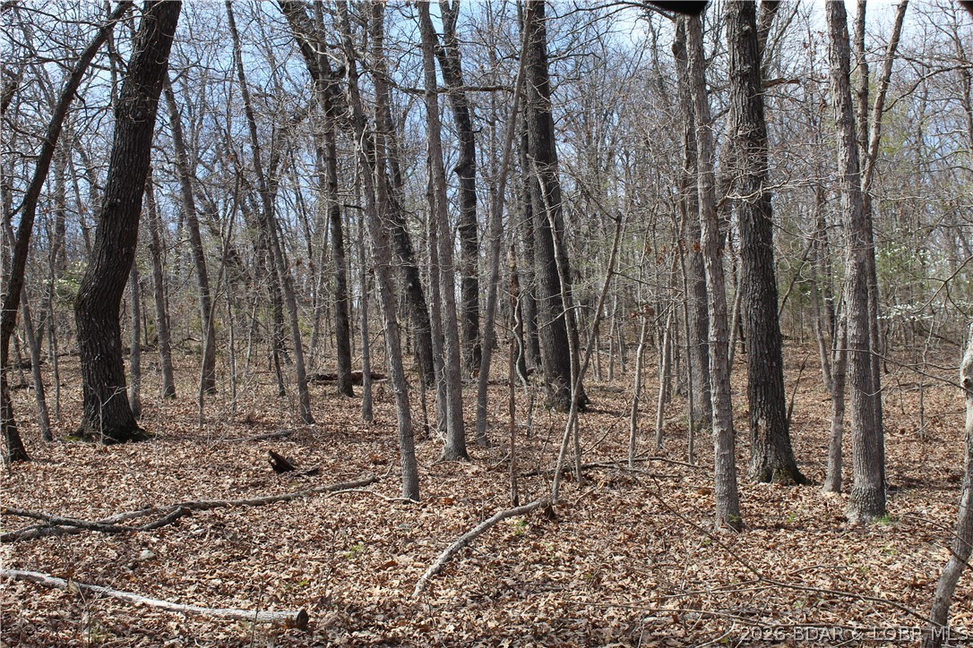 6055 McCasland Road Versailles, MO 65084 - Photo 97 of 99
