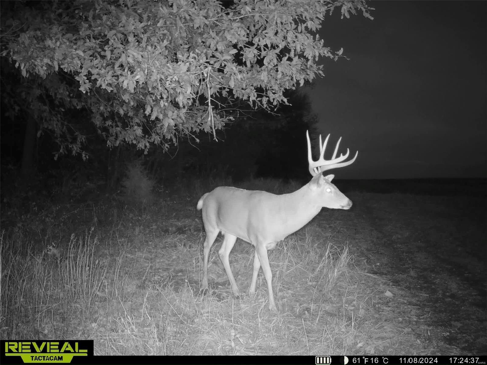 0 Cannonball Road Eolia, MO 63344 - Photo 26 of 34