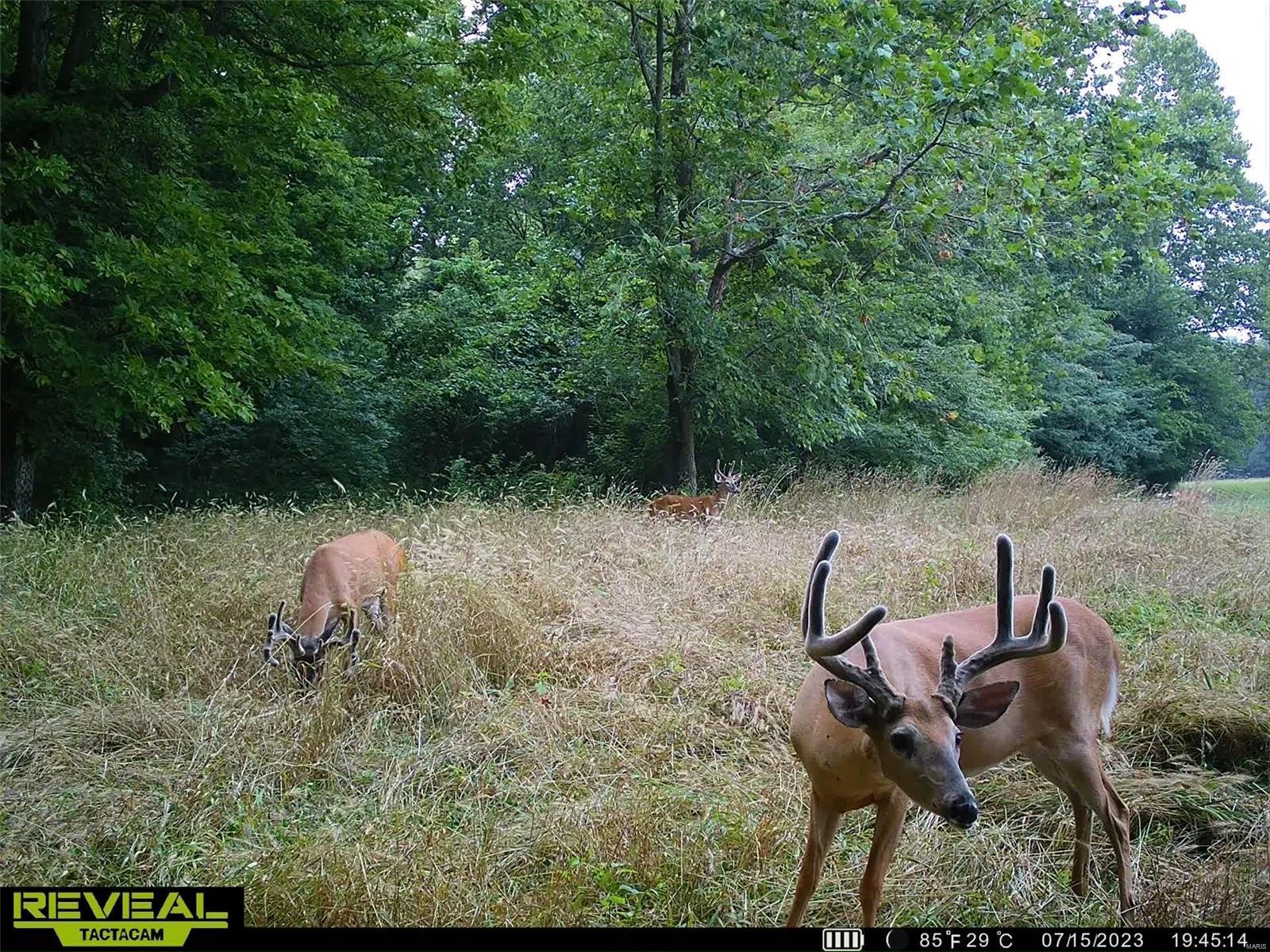 0 Cannonball Road Eolia, MO 63344 - Photo 27 of 34