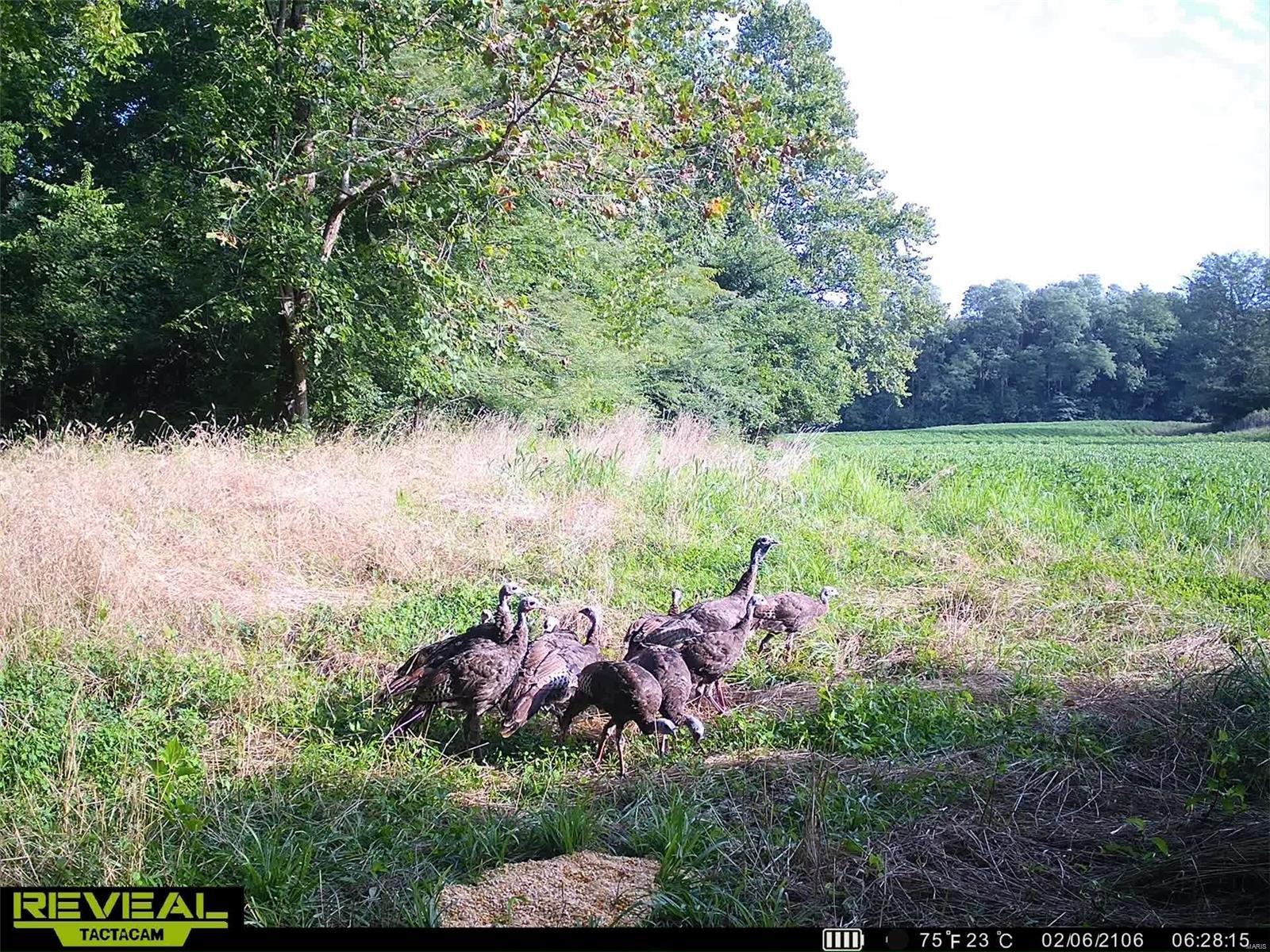 0 Cannonball Road Eolia, MO 63344 - Photo 28 of 34