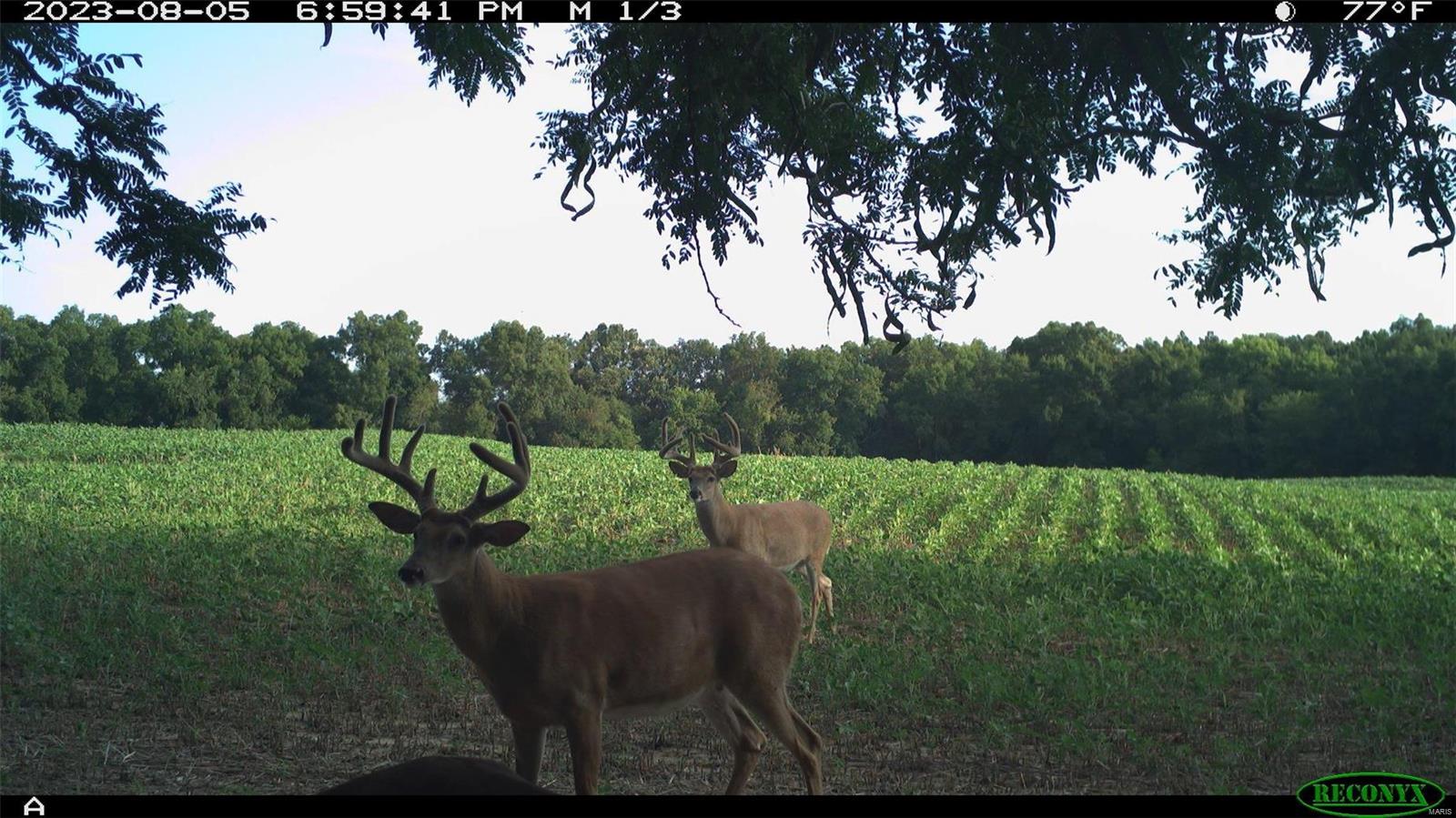 0 Cannonball Road Eolia, MO 63344 - Photo 30 of 34