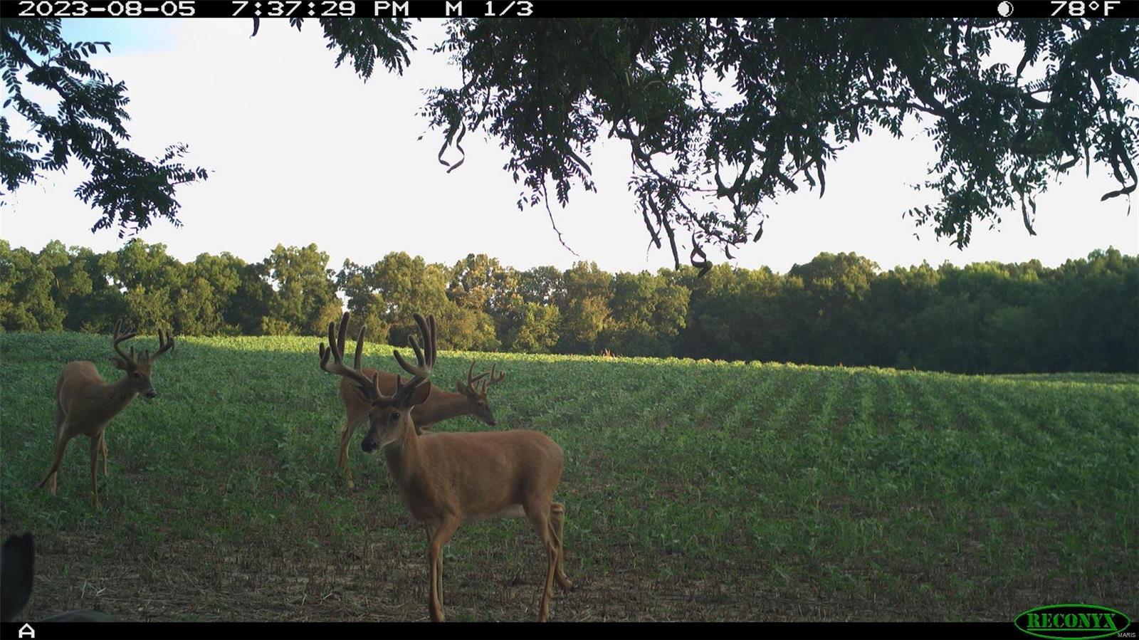 0 Cannonball Road Eolia, MO 63344 - Photo 31 of 34