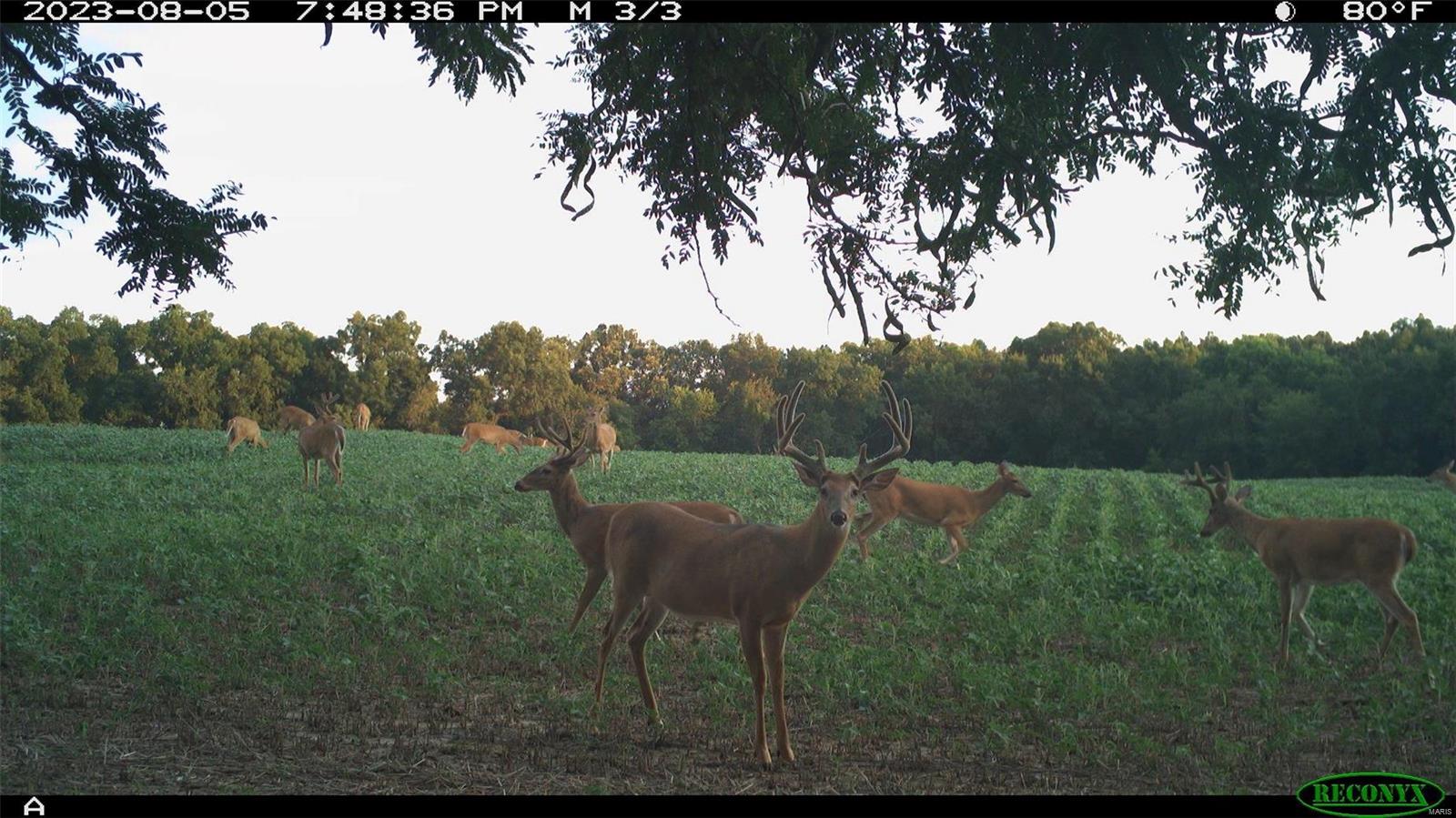 0 Cannonball Road Eolia, MO 63344 - Photo 32 of 34