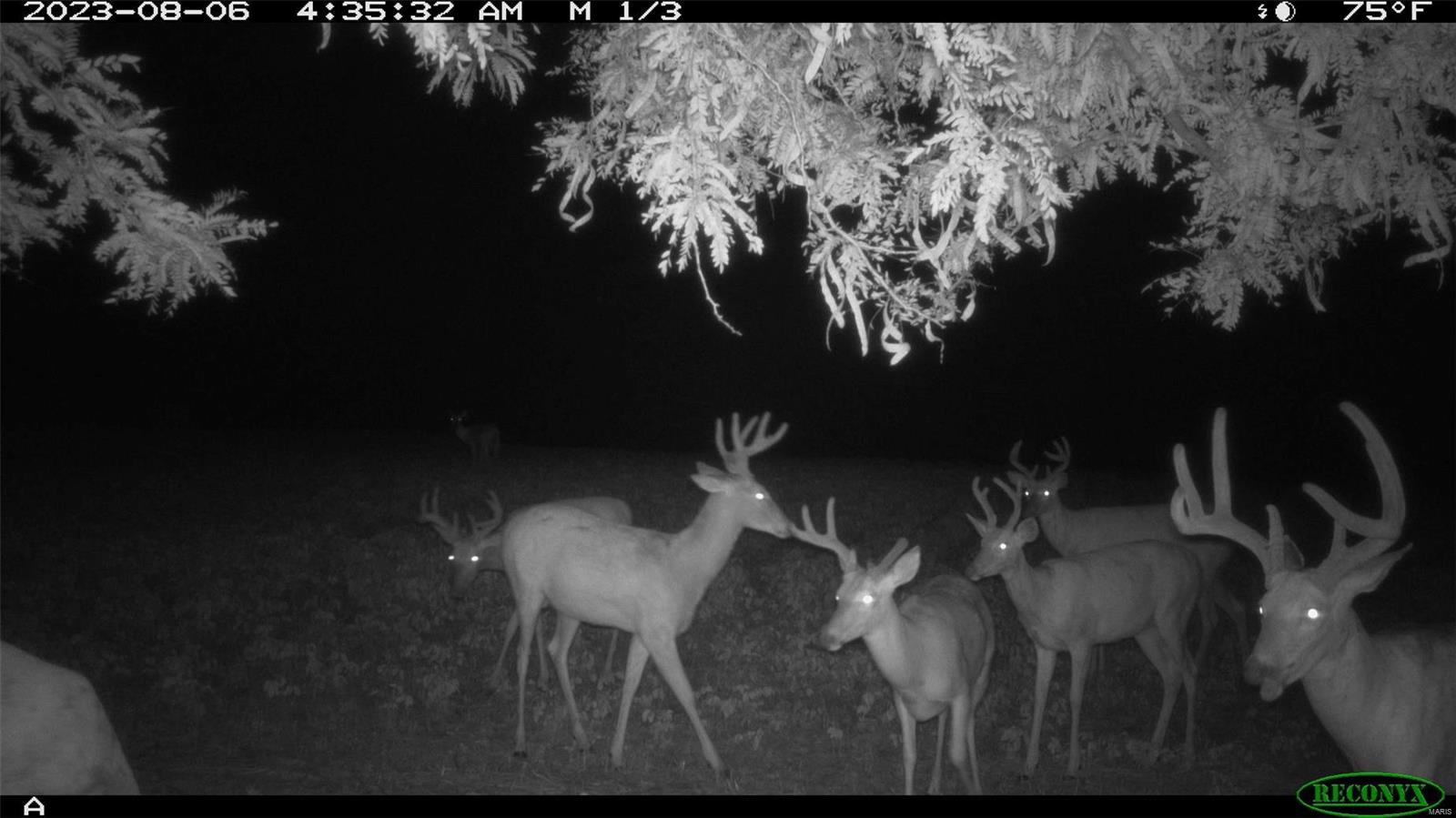 0 Cannonball Road Eolia, MO 63344 - Photo 34 of 34