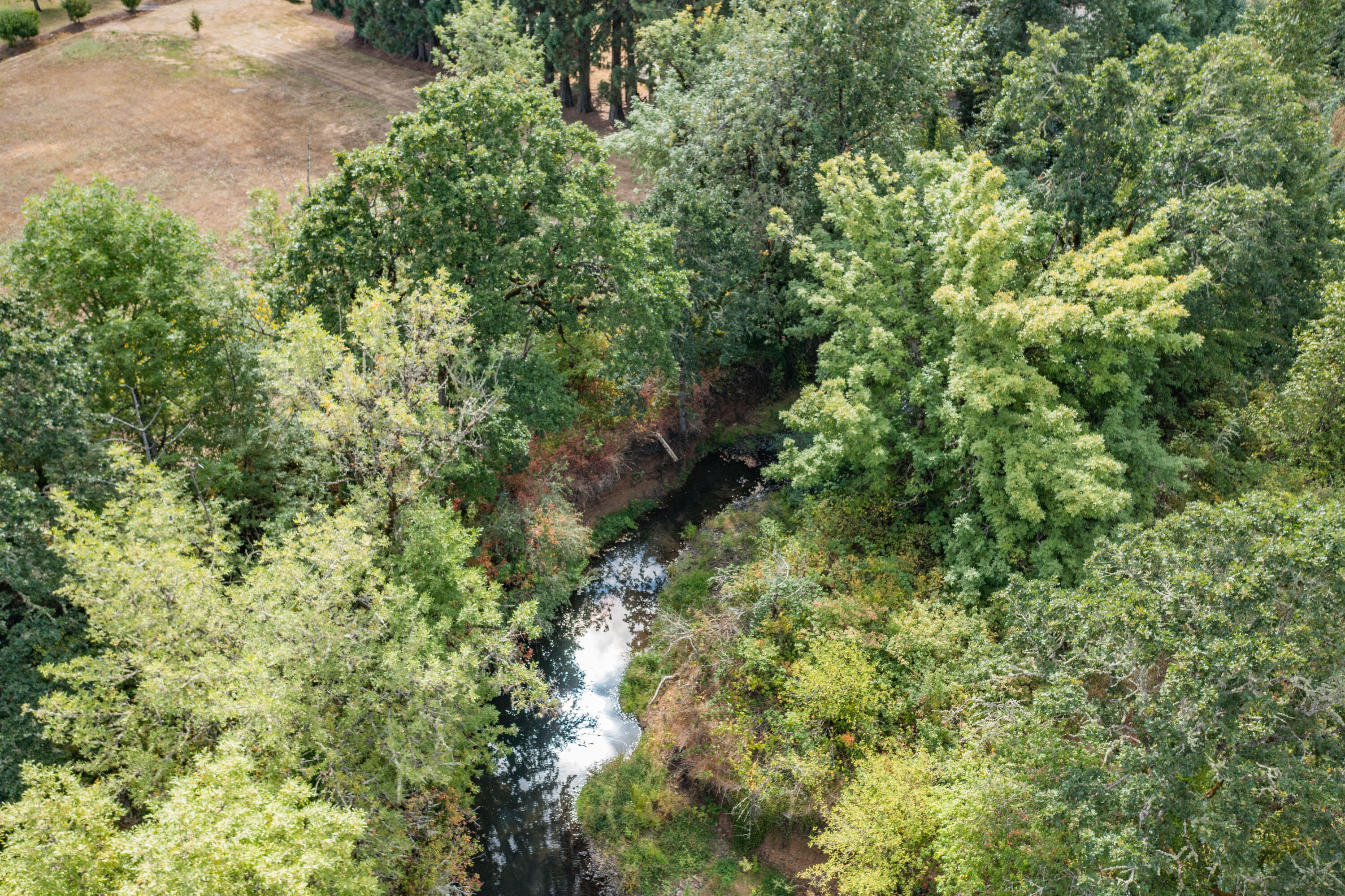 12495 Clow Corner Road Dallas, OR 97338 - Photo 49 of 50 a view of a lush green forest