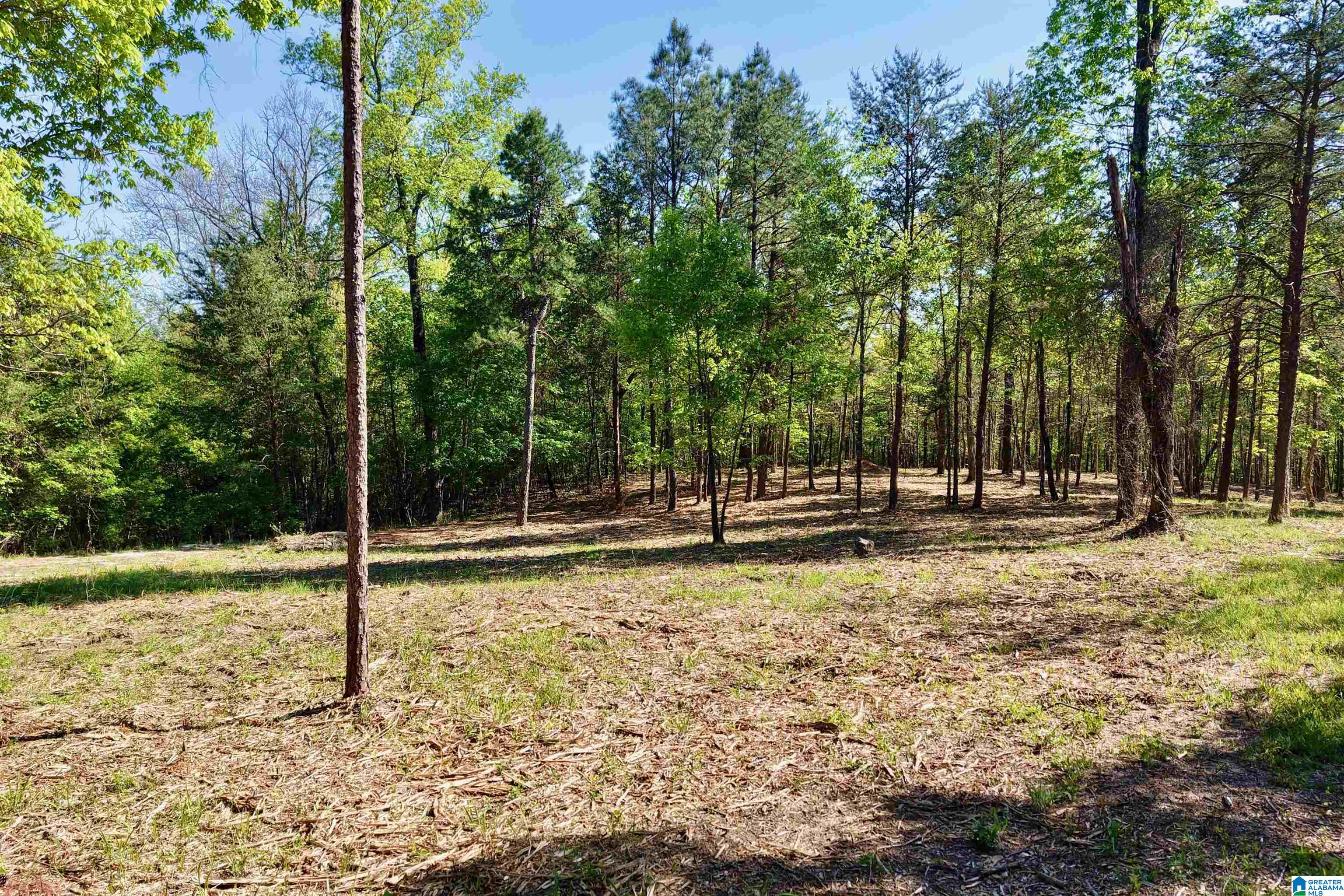 246 Spring Water Farms, Unit 2 Helena, AL 35022 - Photo 8 of 25