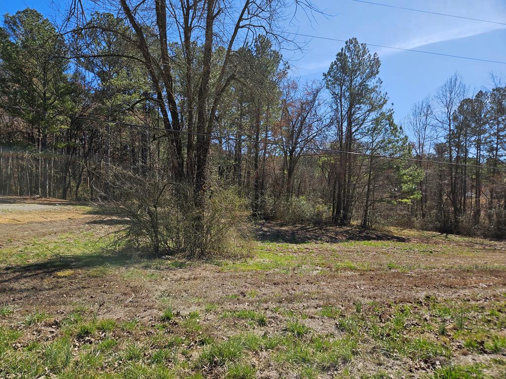 158 Beaverdale Road Crandall, GA 30711 - Photo 1 of 3 Main View