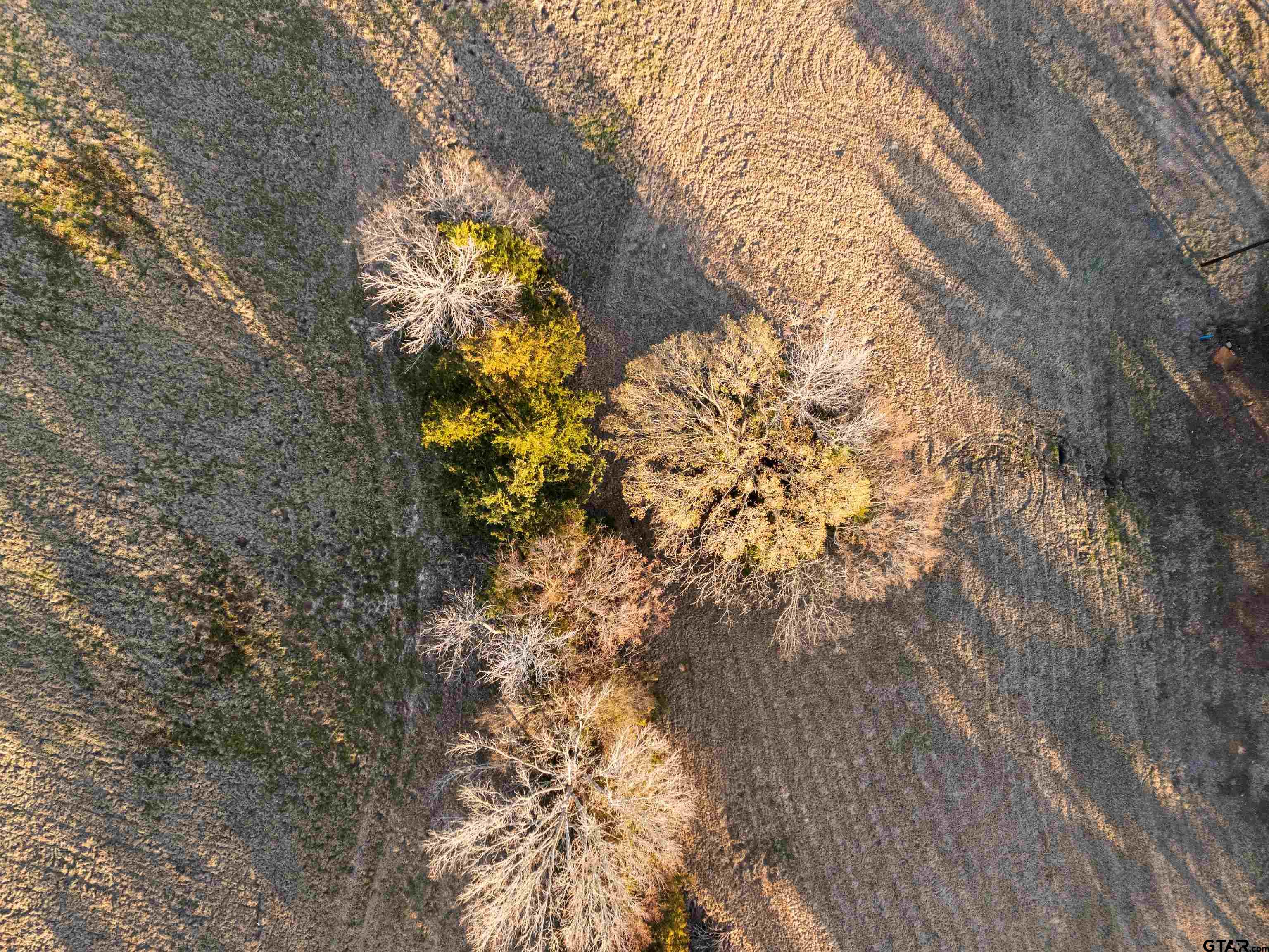Lot 1 Ridgeway Court Winona, TX 75792 - Photo 4 of 19