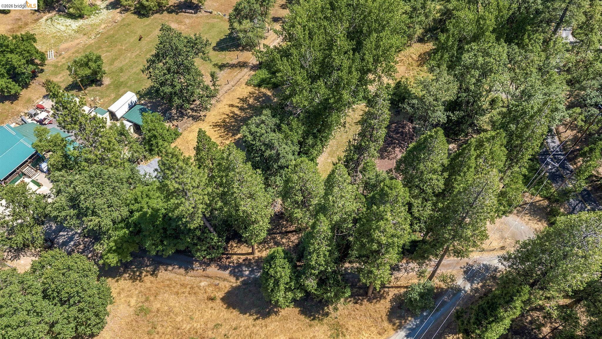 22401 South Fork Road Sonora, CA 95370 - Photo 33 of 34 Expansive property featuring verdant mature trees and a structure with a green roof