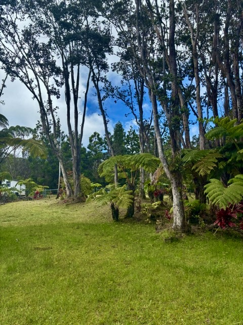 3 Haunani Road Volcano, HI 96785 - Photo 22 of 27 Gallery Image 22