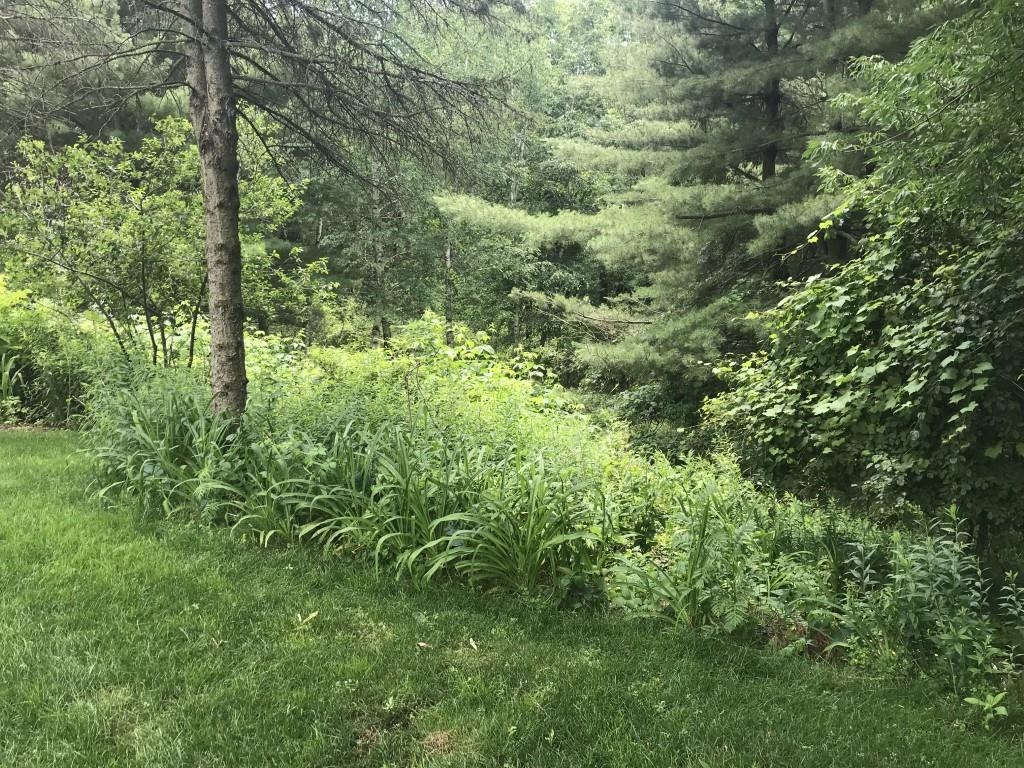 2305 Ridgeview Drive Wausau, WI 54401 - Photo 22 of 23