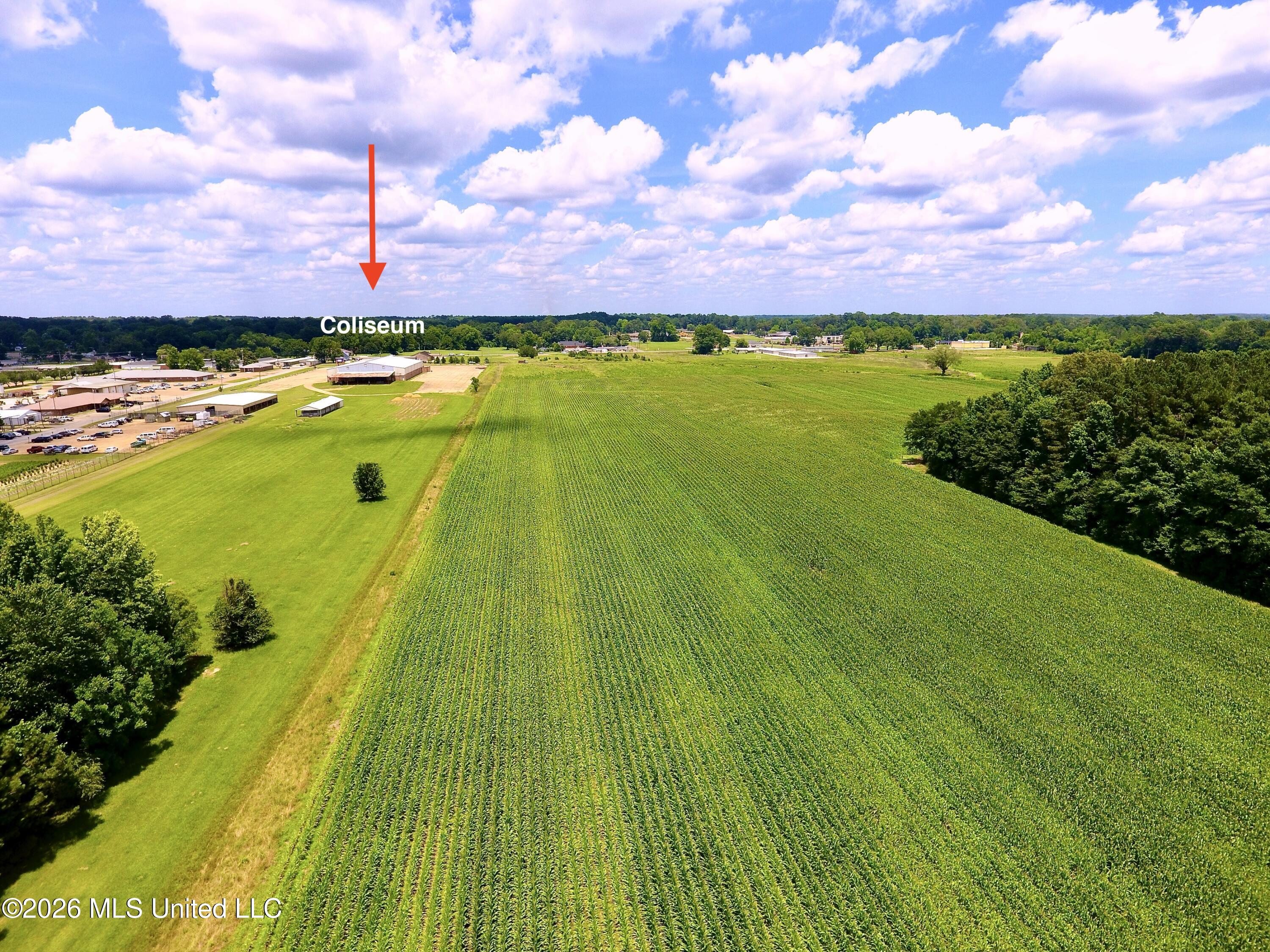 0 East Main Street Carthage, MS 39051 - Photo 4 of 14 DJI_0035