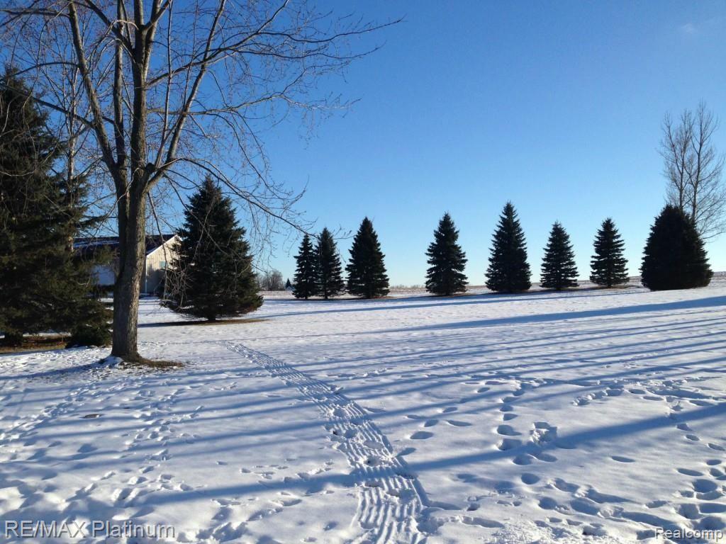 12870 Holtforth Road Fenton, MI 48430 - Photo 41 of 44 IMG_3148.jpg