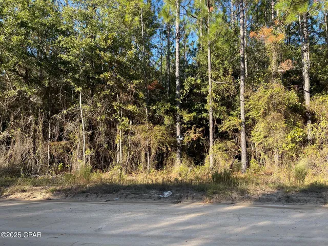 $63,000 | 0 Cross County Boulevard, Marianna, FL 32446