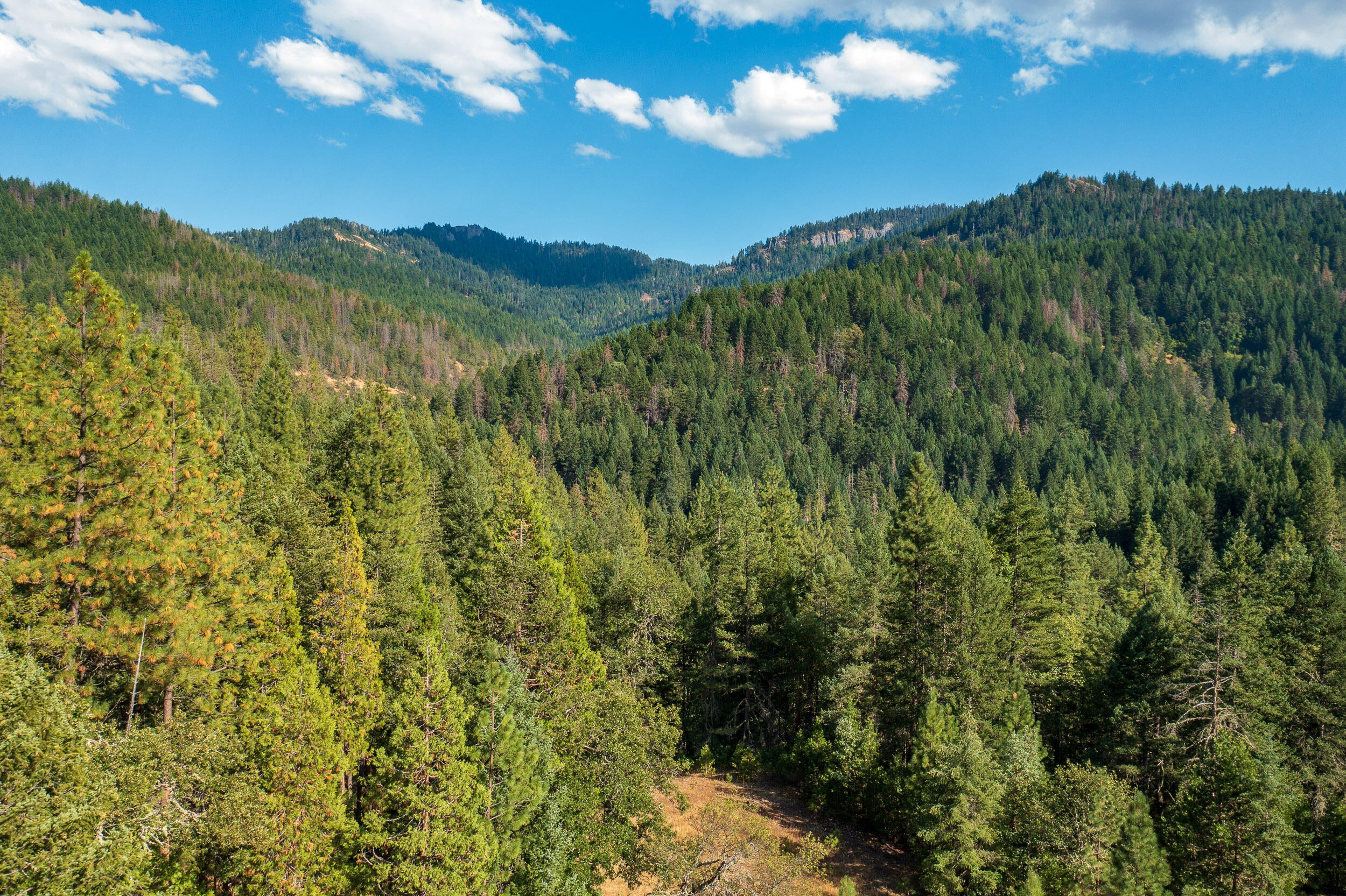 0 Buckhorn Springs Road Ashland, OR 97520 - Photo 8 of 39 Final (9)