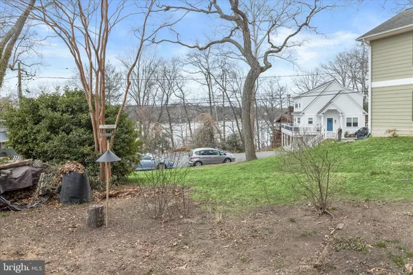 a view of a backyard with large trees