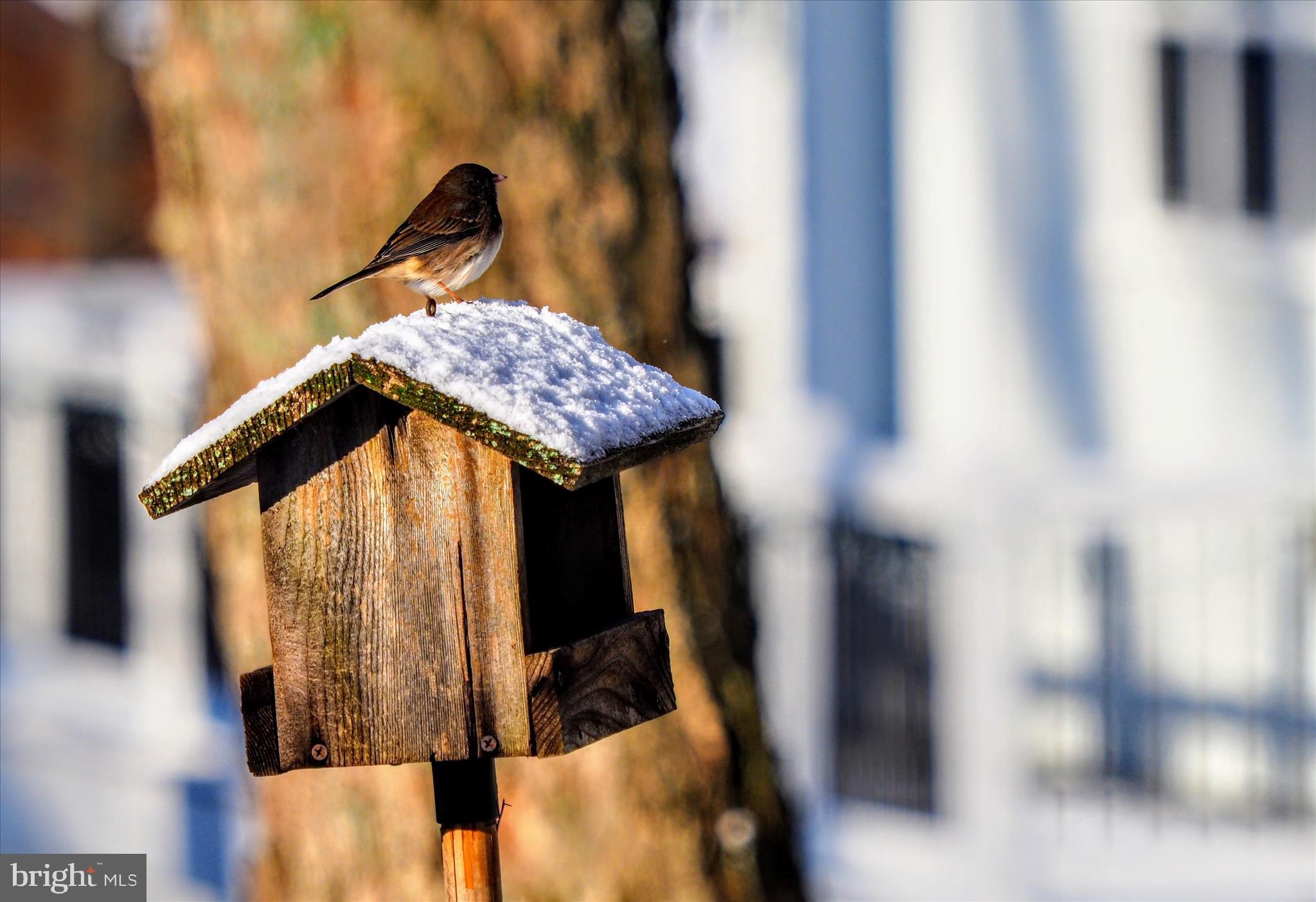 620 Jumpers Hole Road Severna Park, MD 21146 - Photo 25 of 43 a view of entryway