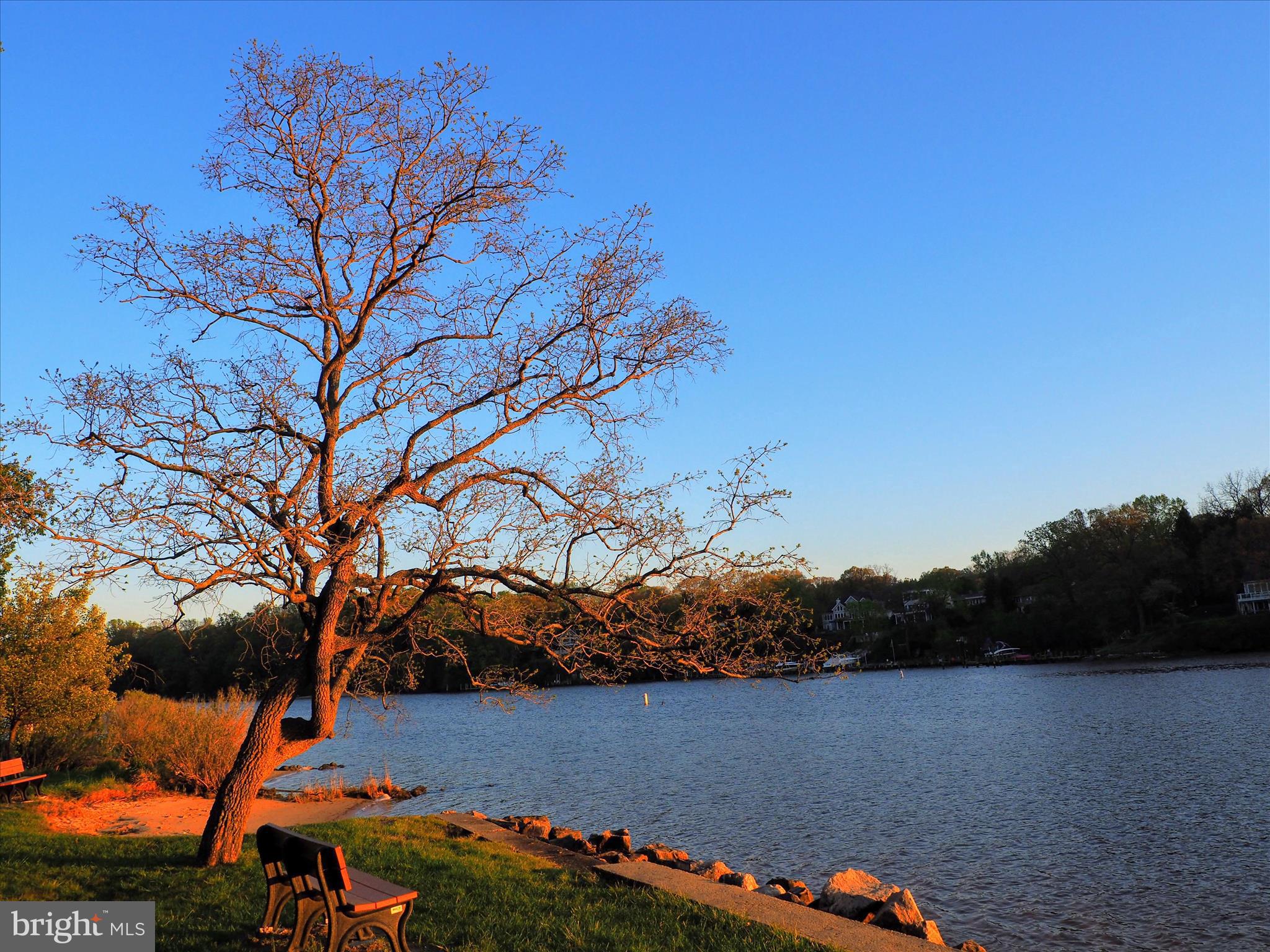 620 Jumpers Hole Road Severna Park, MD 21146 - Photo 34 of 43 a view of lake