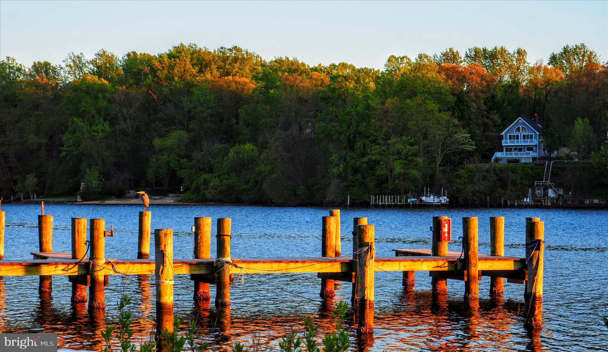 620 Jumpers Hole Road Severna Park, MD 21146 - Photo 35 of 43 a view of swimming pool with seating area and trees in the background