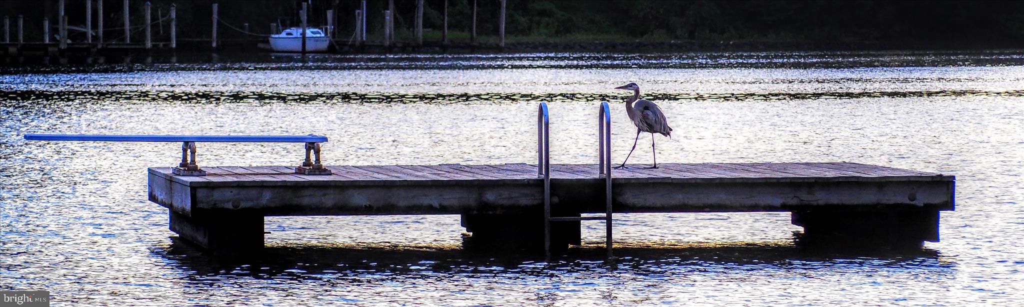 620 Jumpers Hole Road Severna Park, MD 21146 - Photo 37 of 43 a room with a fireplace and a wooden floor