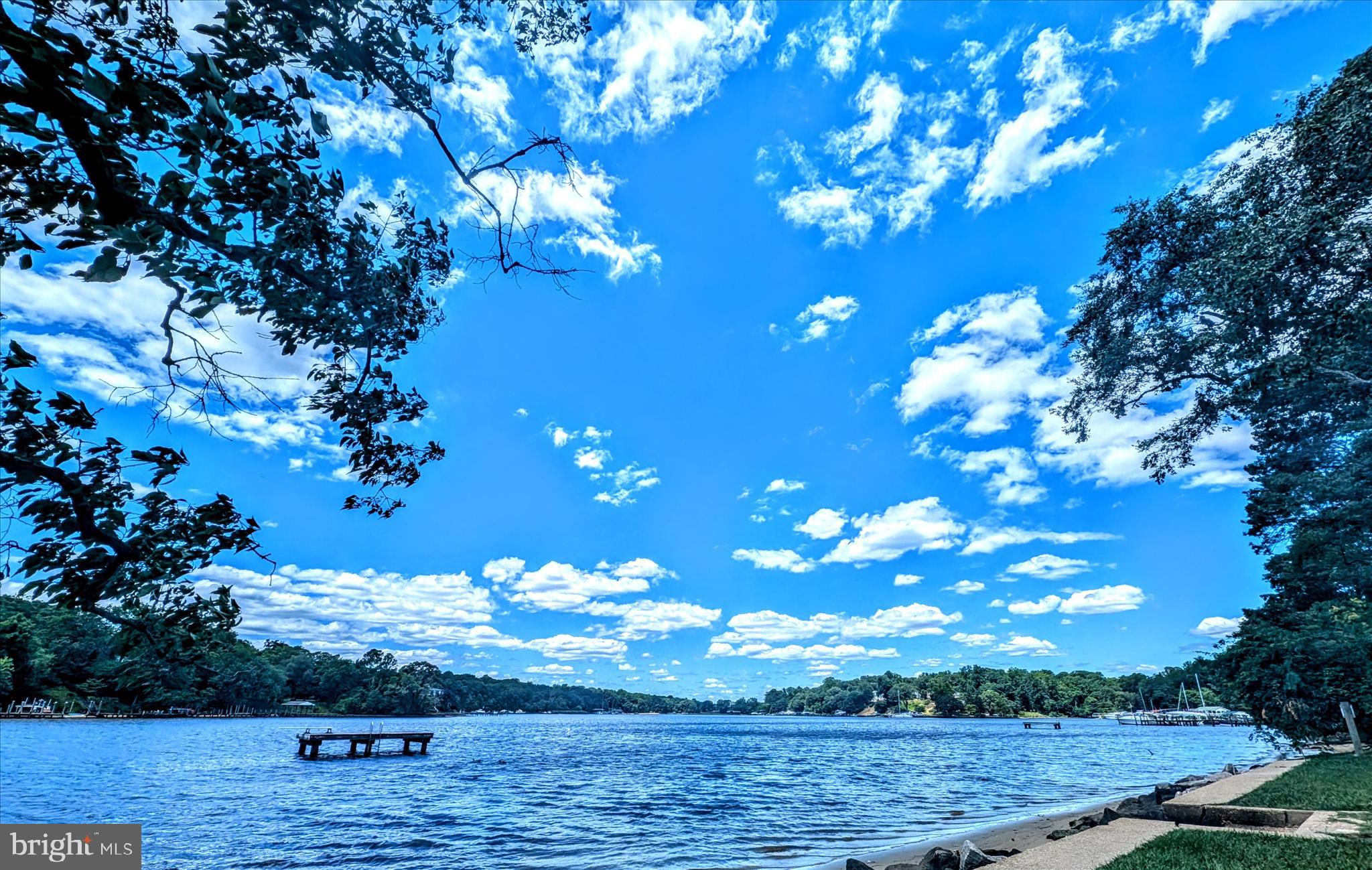 620 Jumpers Hole Road Severna Park, MD 21146 - Photo 42 of 43 a view of a tree with an outdoor space