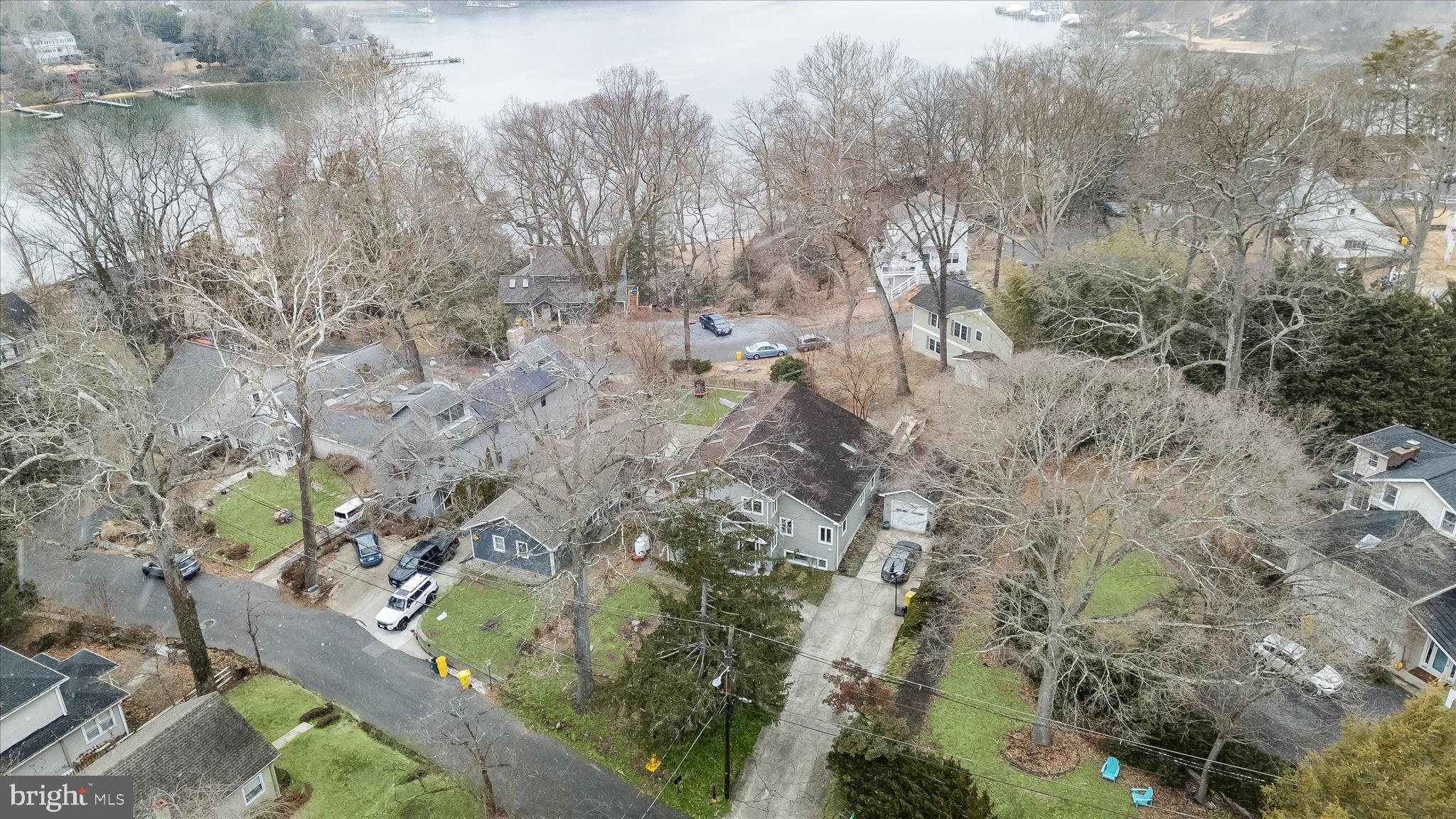 620 Jumpers Hole Road Severna Park, MD 21146 - Photo 9 of 43 a view of a forest with lots of trees