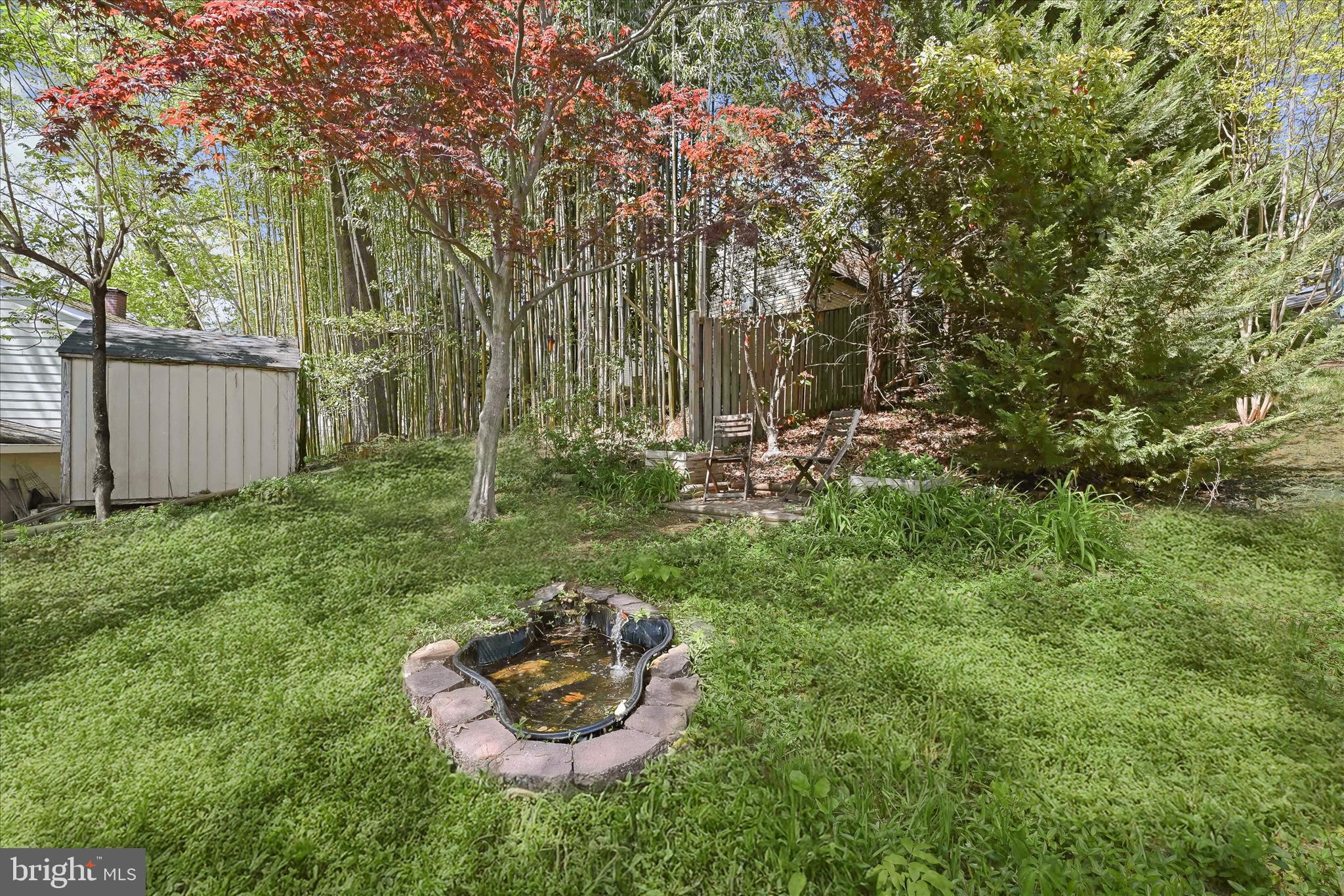 620 Jumpers Hole Road Severna Park, MD 21146 - Photo 98 of 112 a view of a backyard with plants and a tree
