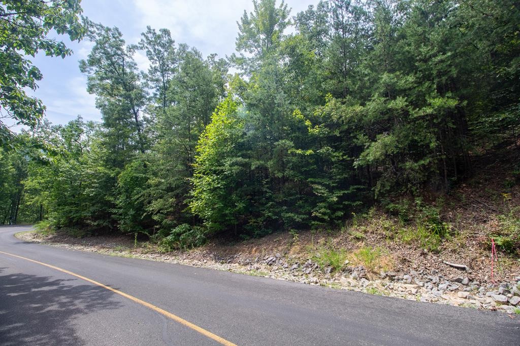 30 Ridgeback Lane Sevierville, TN 37862 - Photo 9 of 34