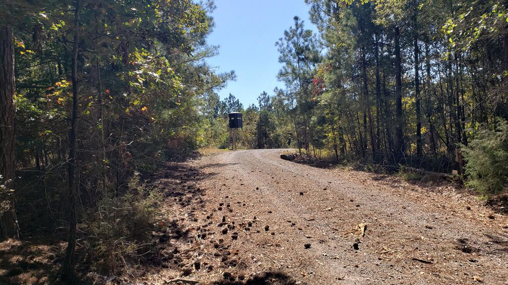 4039 Dixie Garden Road Wesson, MS 39191 - Photo 16 of 70 Photo 16