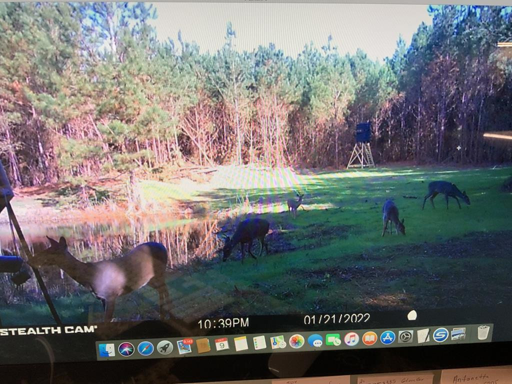 4039 Dixie Garden Road Wesson, MS 39191 - Photo 17 of 70 Photo 17