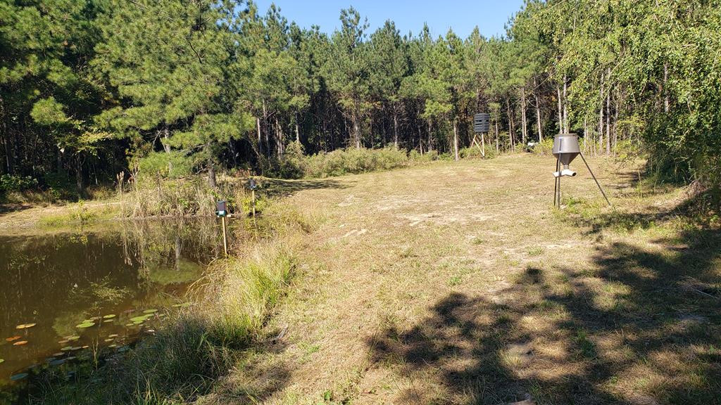 4039 Dixie Garden Road Wesson, MS 39191 - Photo 19 of 70 Photo 19
