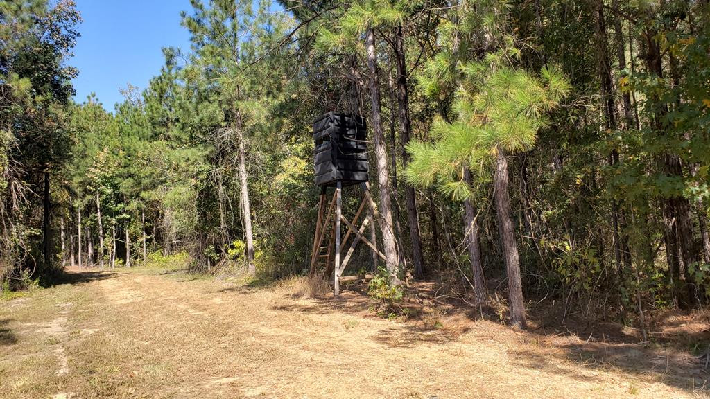 4039 Dixie Garden Road Wesson, MS 39191 - Photo 21 of 70 Photo 21