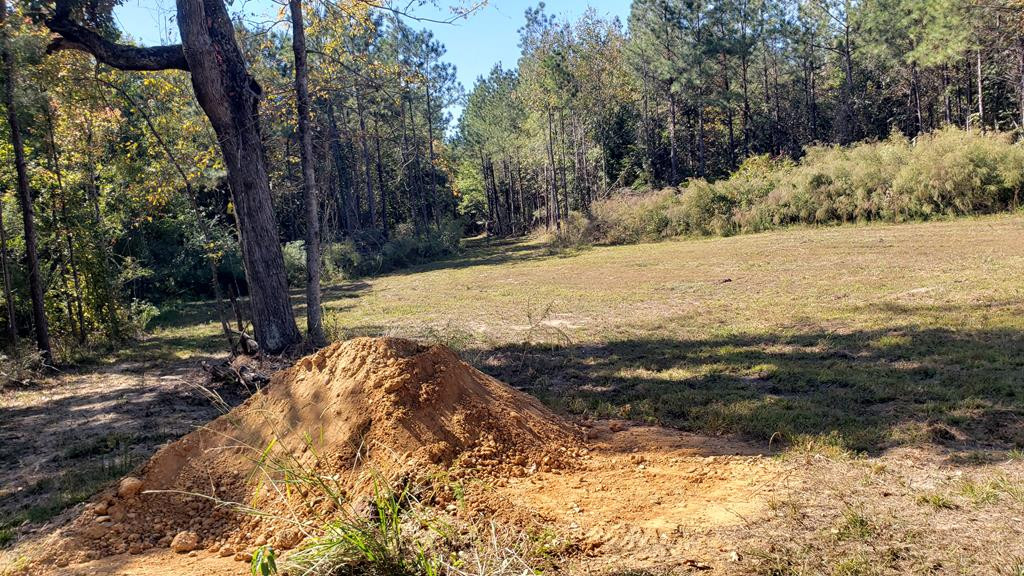4039 Dixie Garden Road Wesson, MS 39191 - Photo 22 of 70 Photo 22