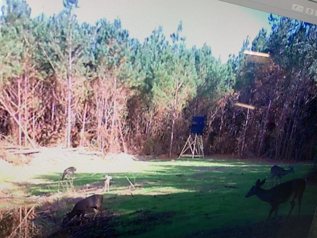 4039 Dixie Garden Road Wesson, MS 39191 - Photo 23 of 70 Photo 23